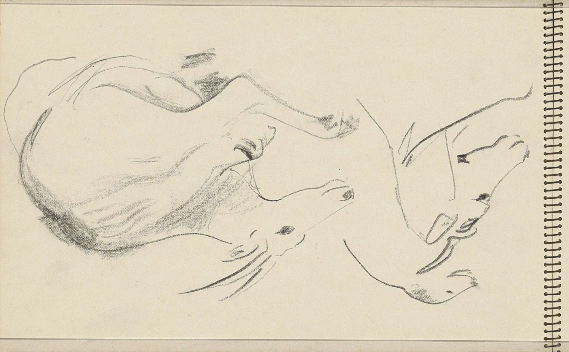 Twee geiten en een hond by Carel Adolph Lion Cachet