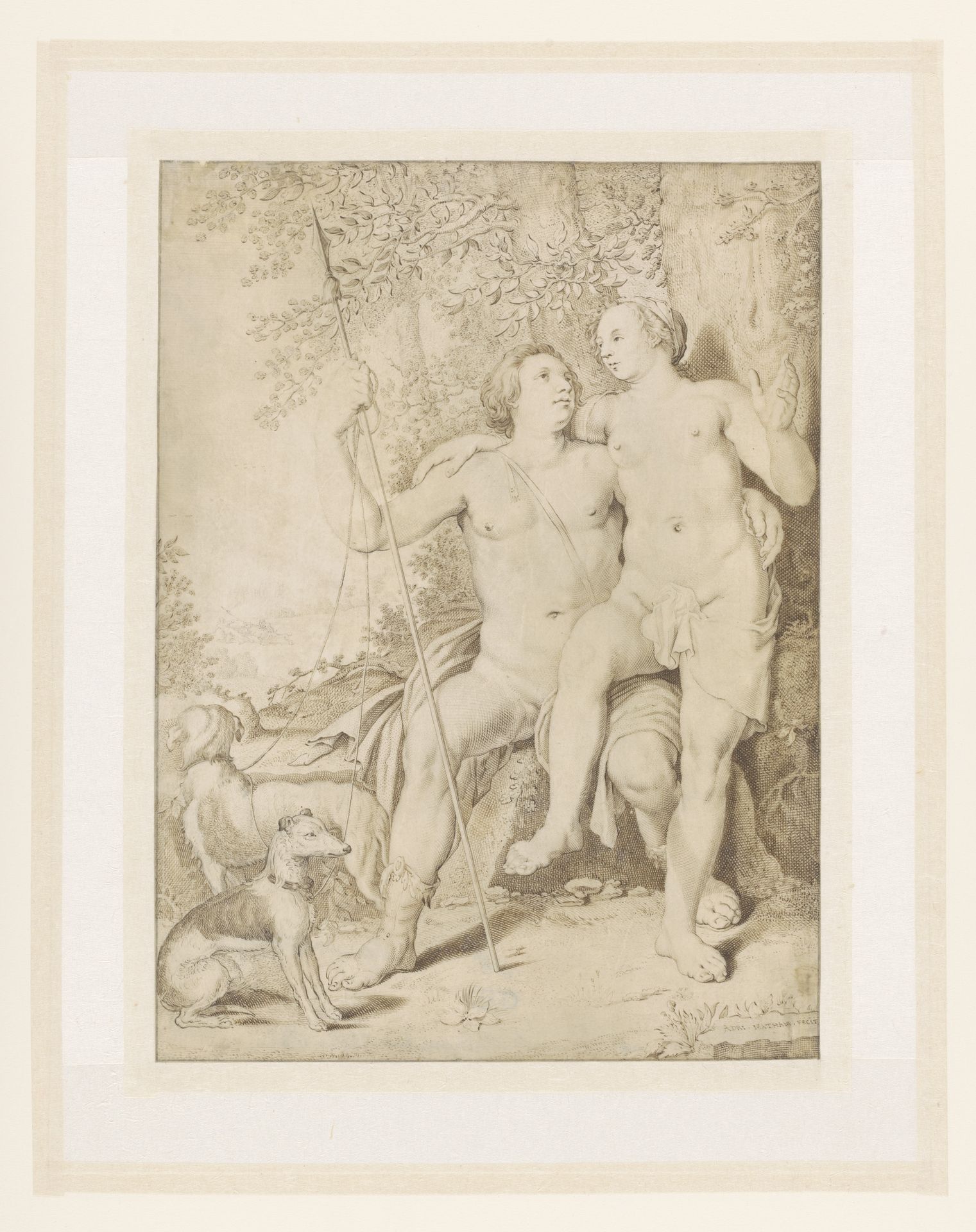 Venus and Adonis by Adriaen Matham