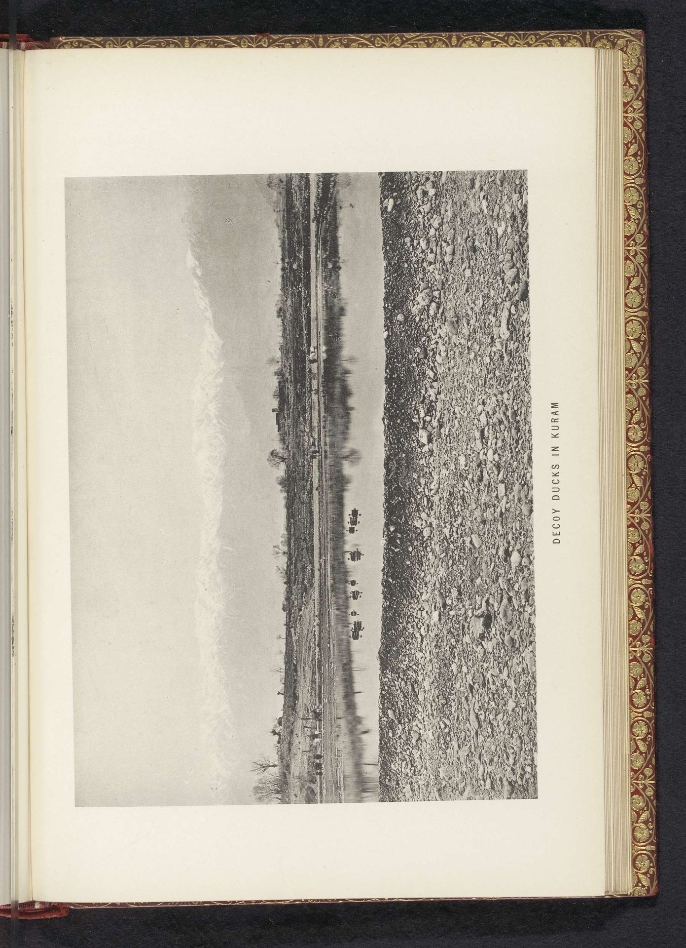 Decoy ducks in Kuram by Frederick Saint John Gore