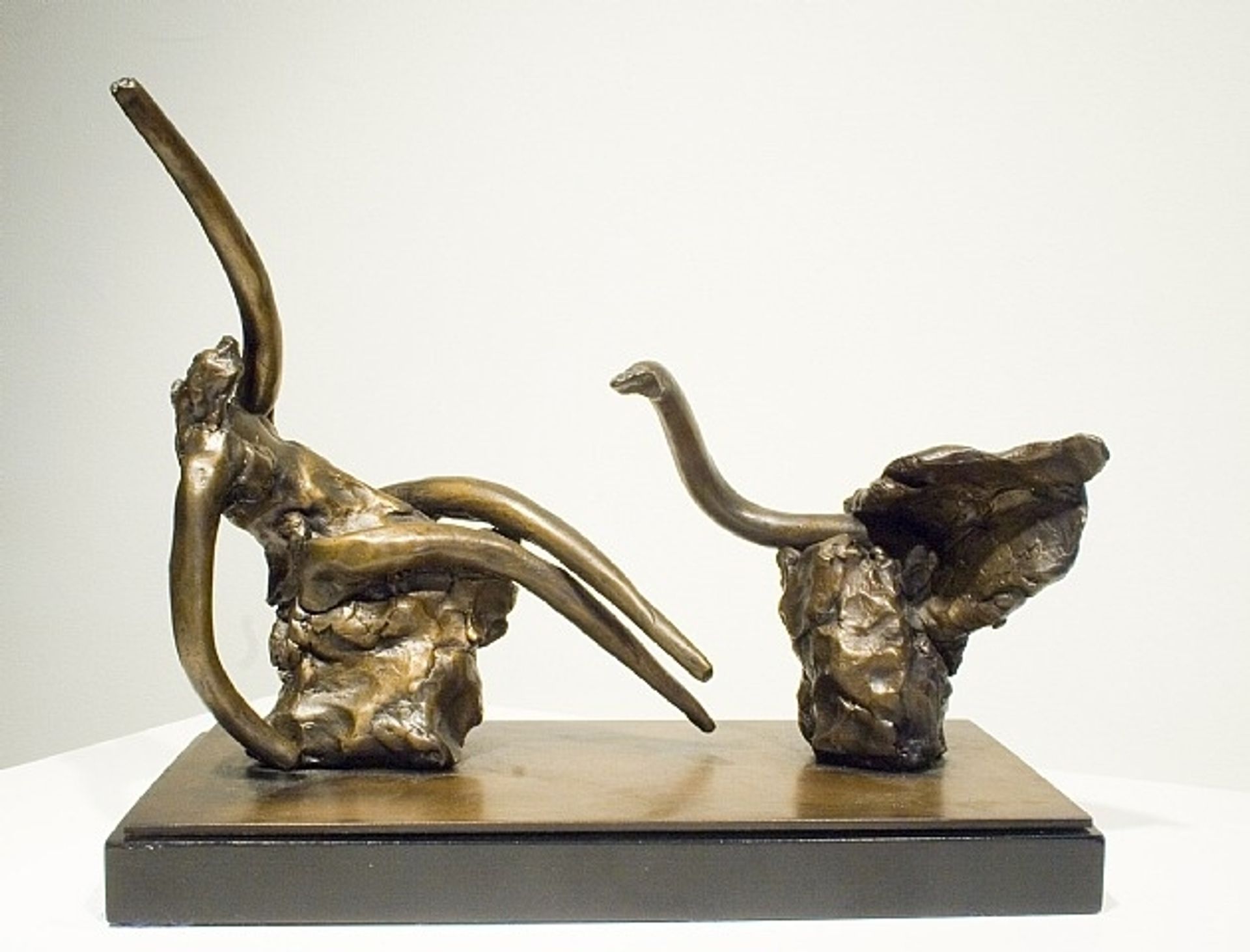 Leda and the Swan (JRFA 9882) by Reuben Nakian