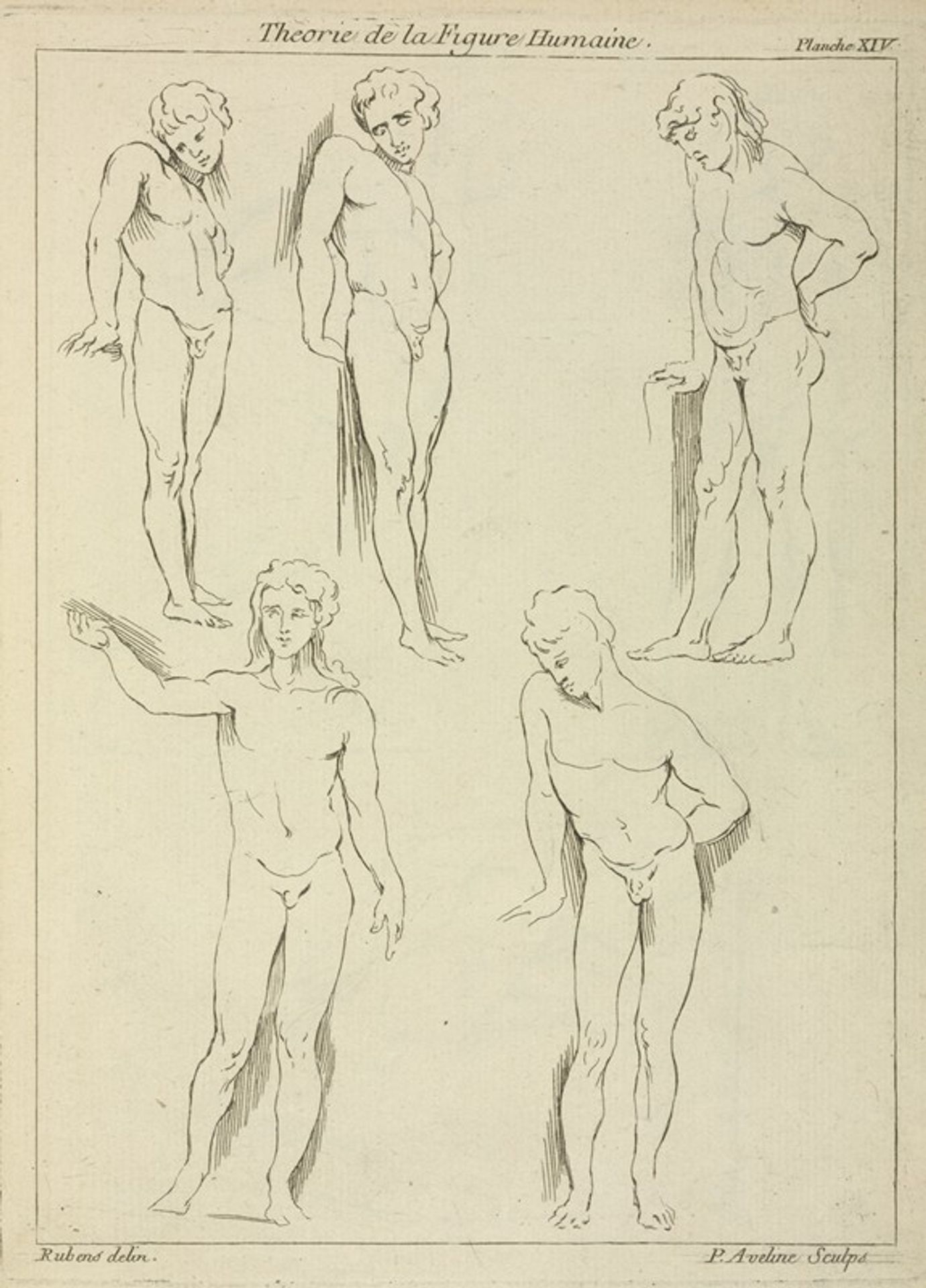 Five male figures by Peter Paul Rubens