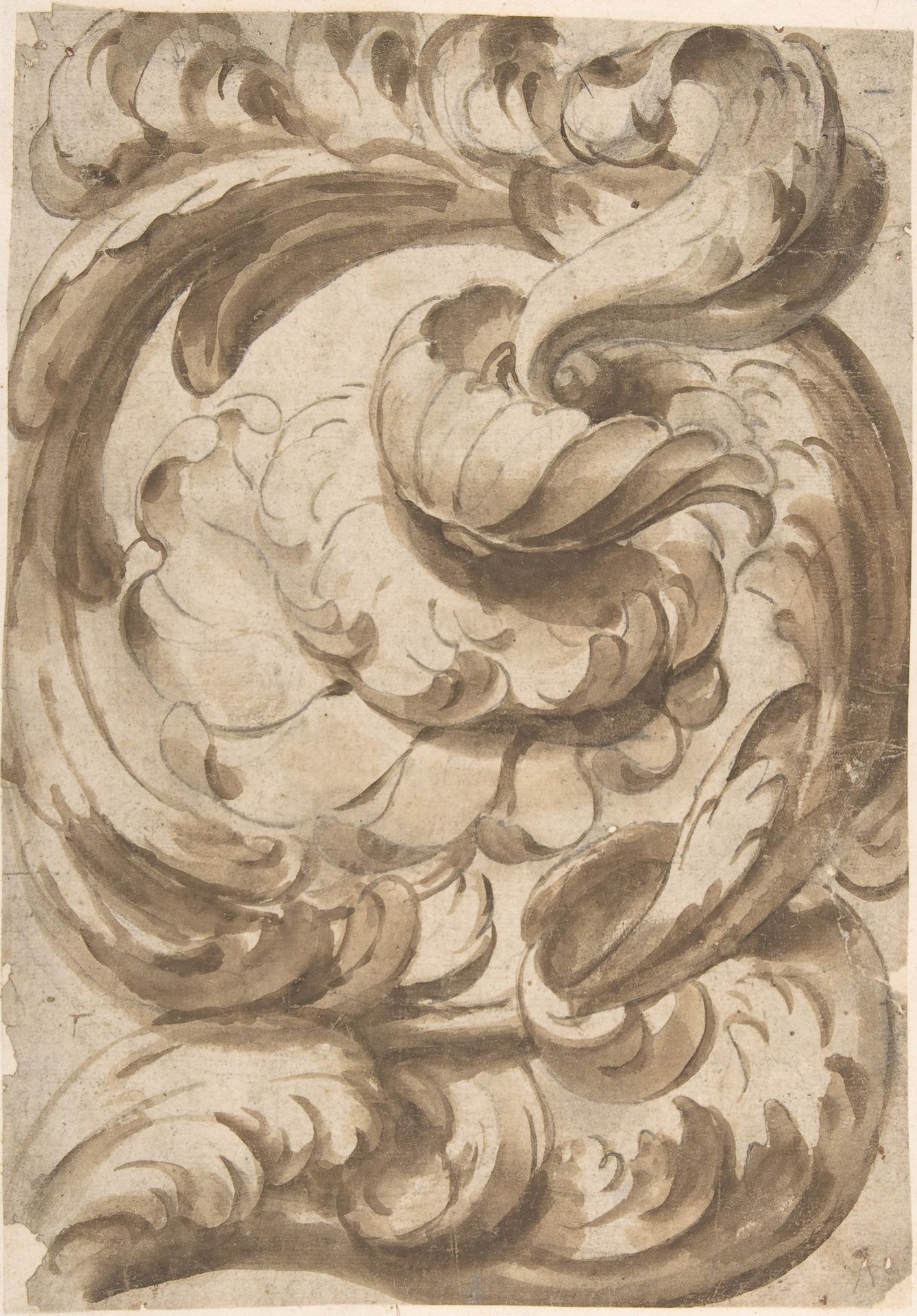 Acanthus Scroll with Rosette by Anonymous