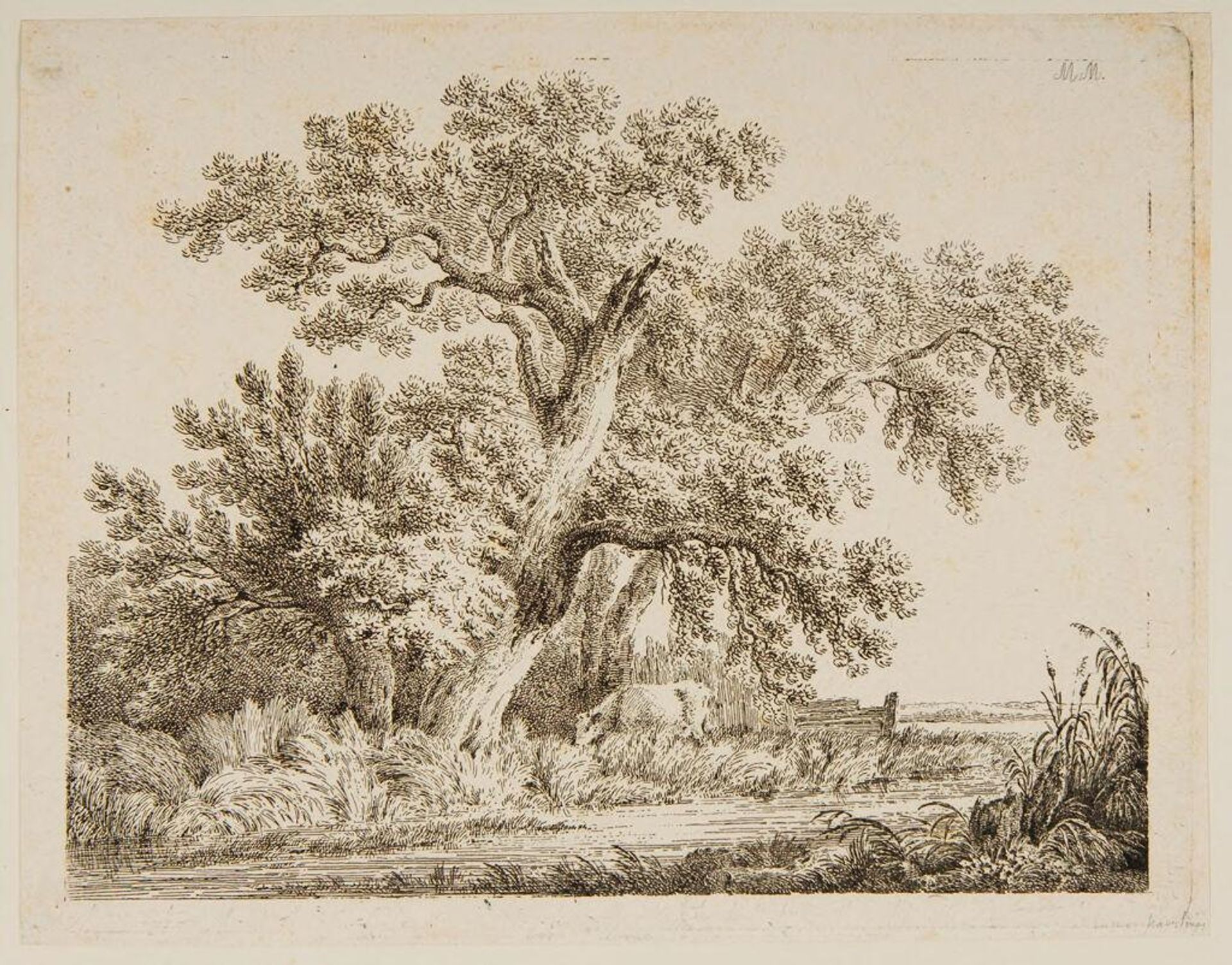 Cow Pastured on Bank of River by Martin von Molitor