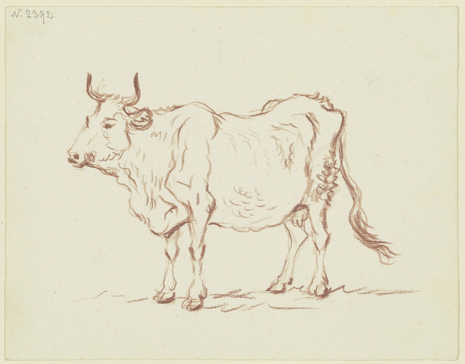 Standing cow to the left by Friedrich Wilhelm Hirt