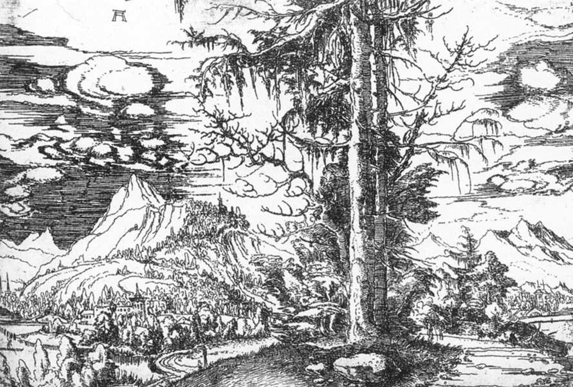 Landscape by Albrecht Altdorfer