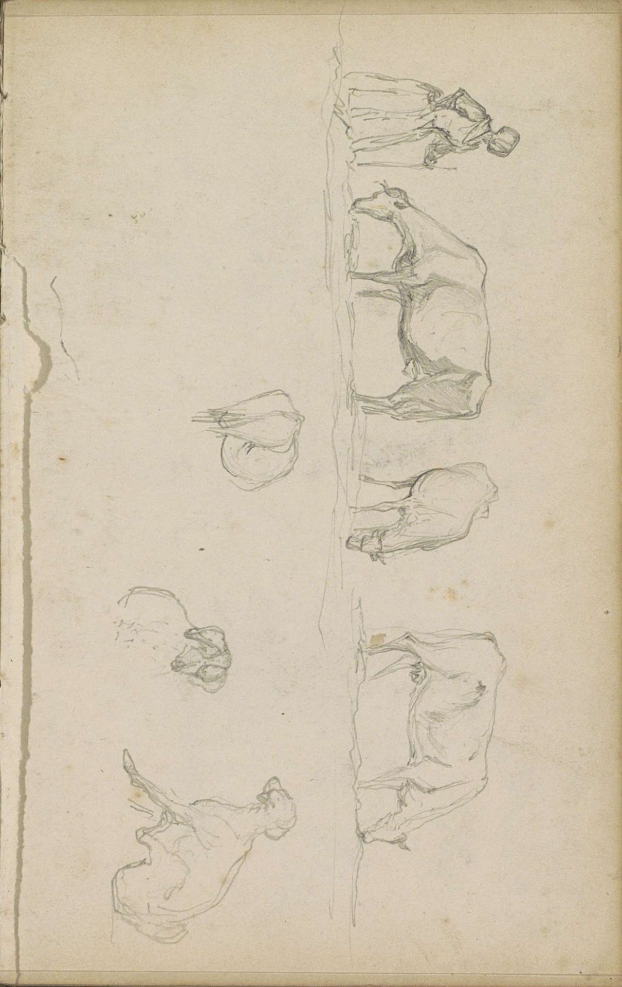 Honden en een boerin met grazende koeien by Johannes Tavenraat