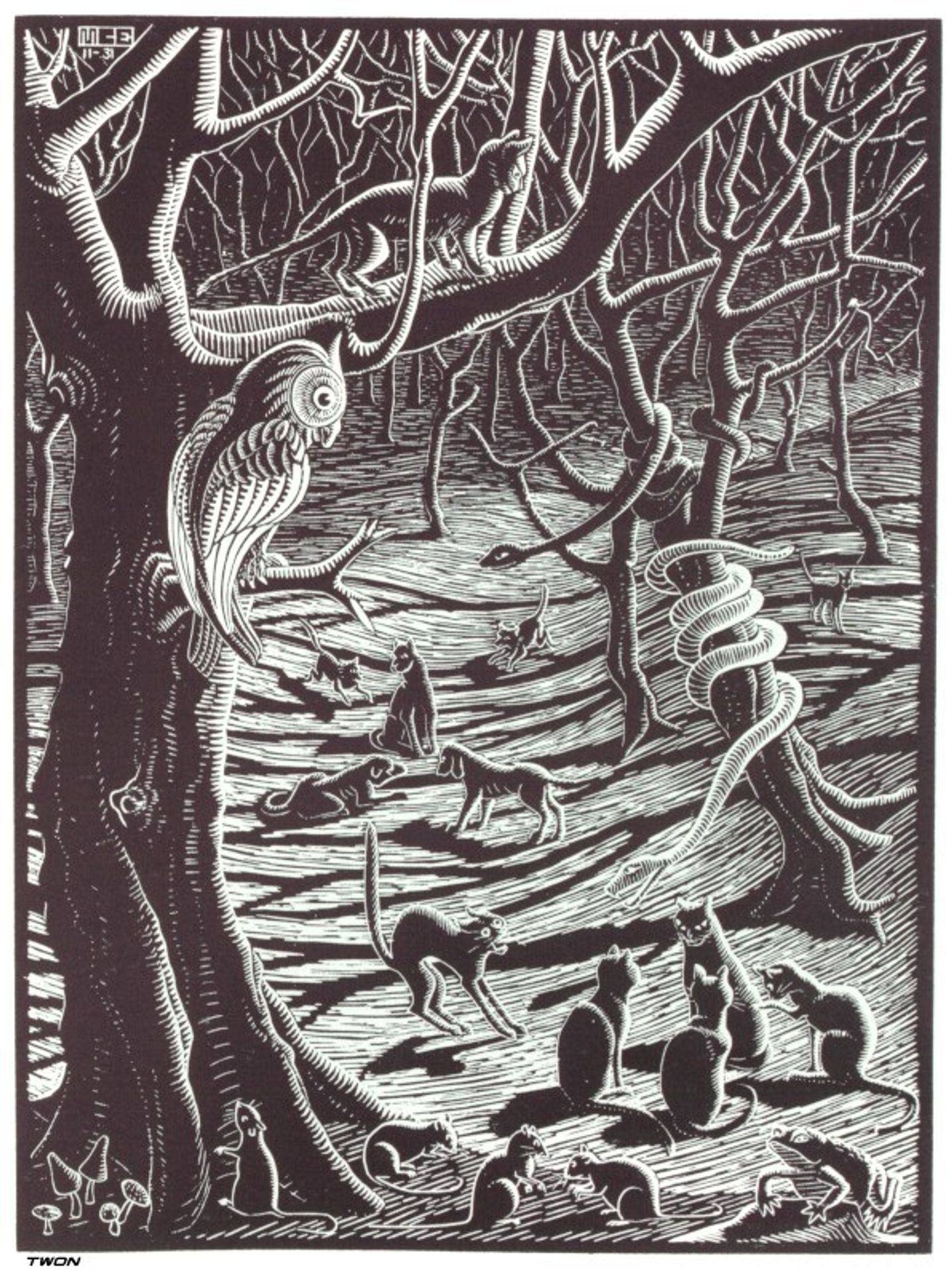 Scholastica by M.C. Escher