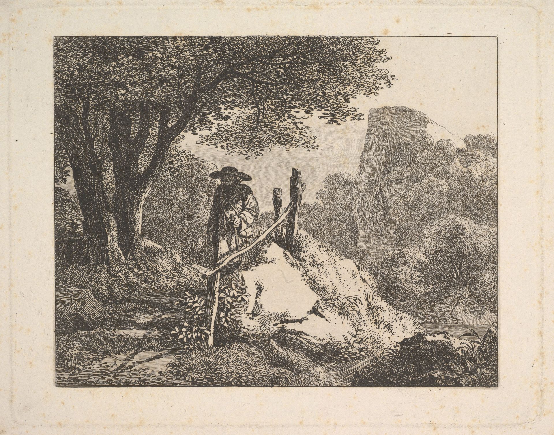 A Shady Enclosure of Trees by Johann Christoph Erhard