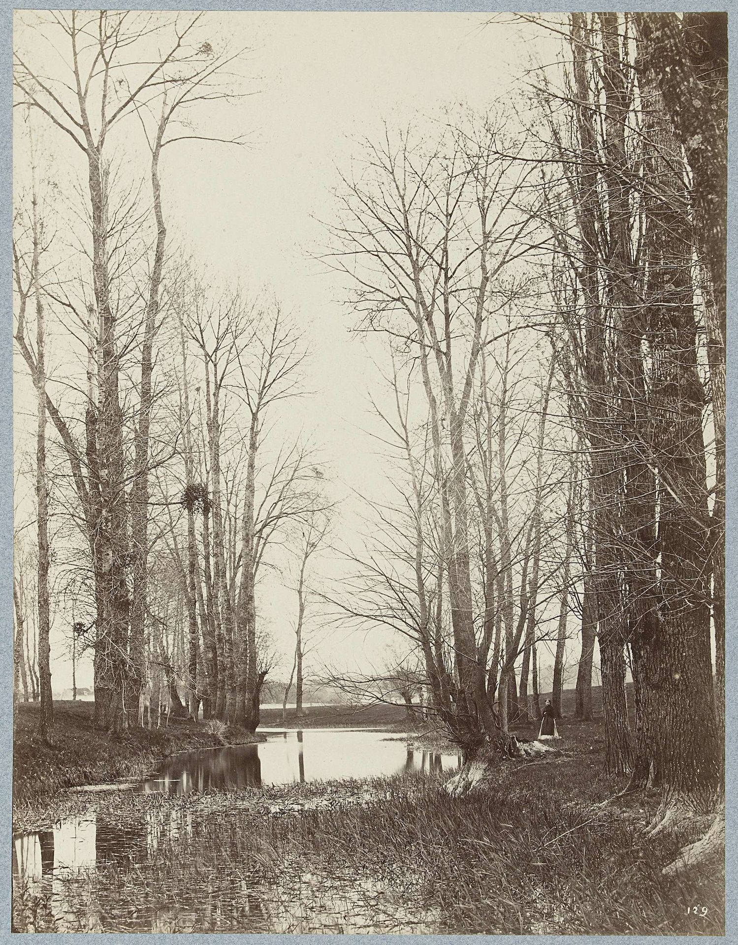 Boslandschap by Constant Alexandre Famin