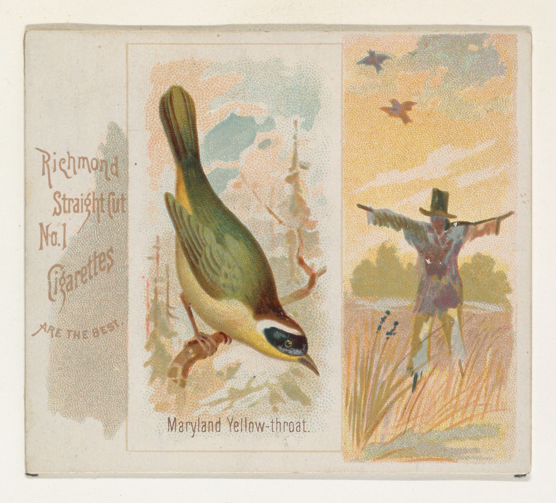 Maryland Yellow-throat, from the Song Birds of the World series (N42) for Allen & Ginter Cigarettes by Allen & Ginter