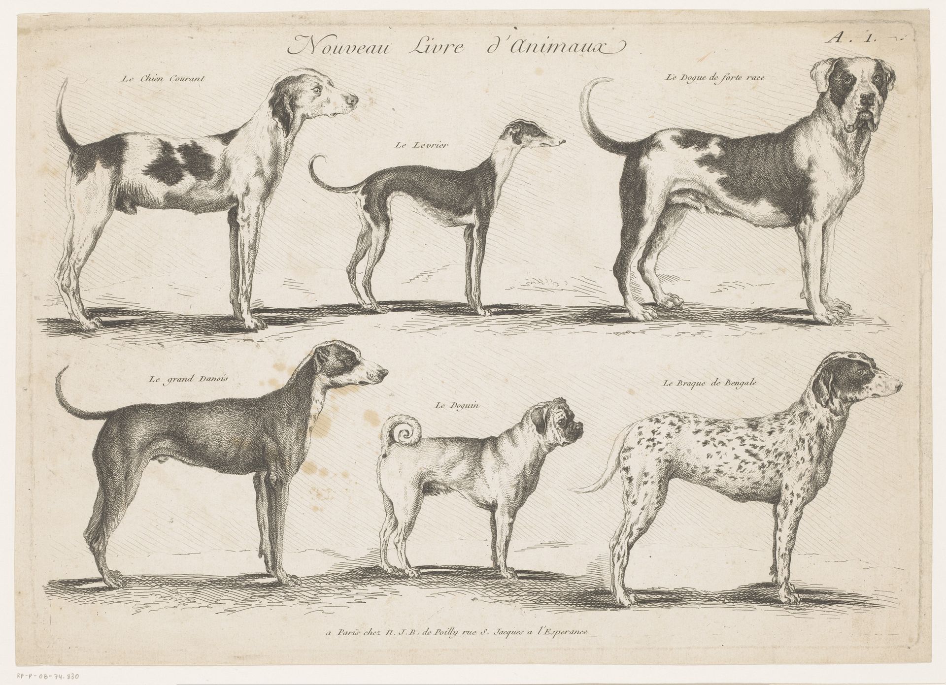 Hondenrassen by Anonymous