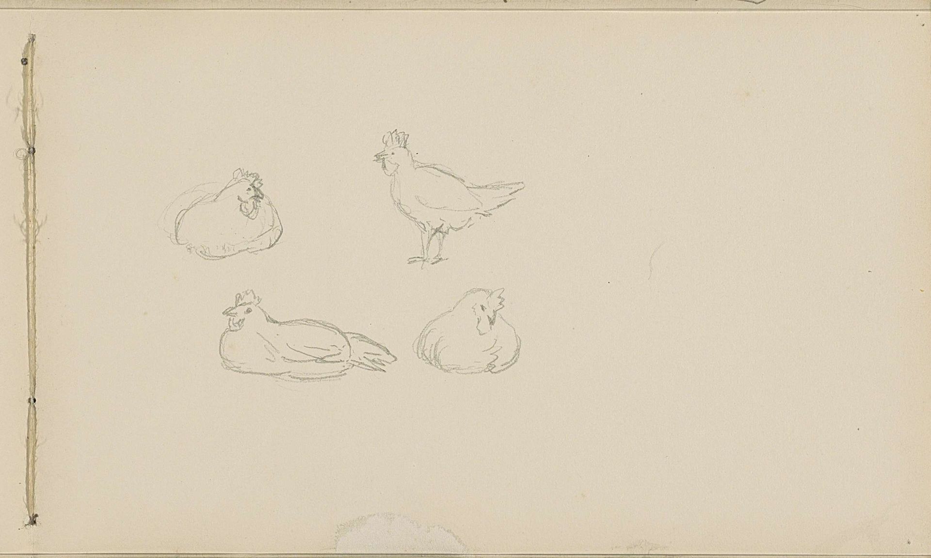 Kippen by Anna Catharina Maria van Eeghen