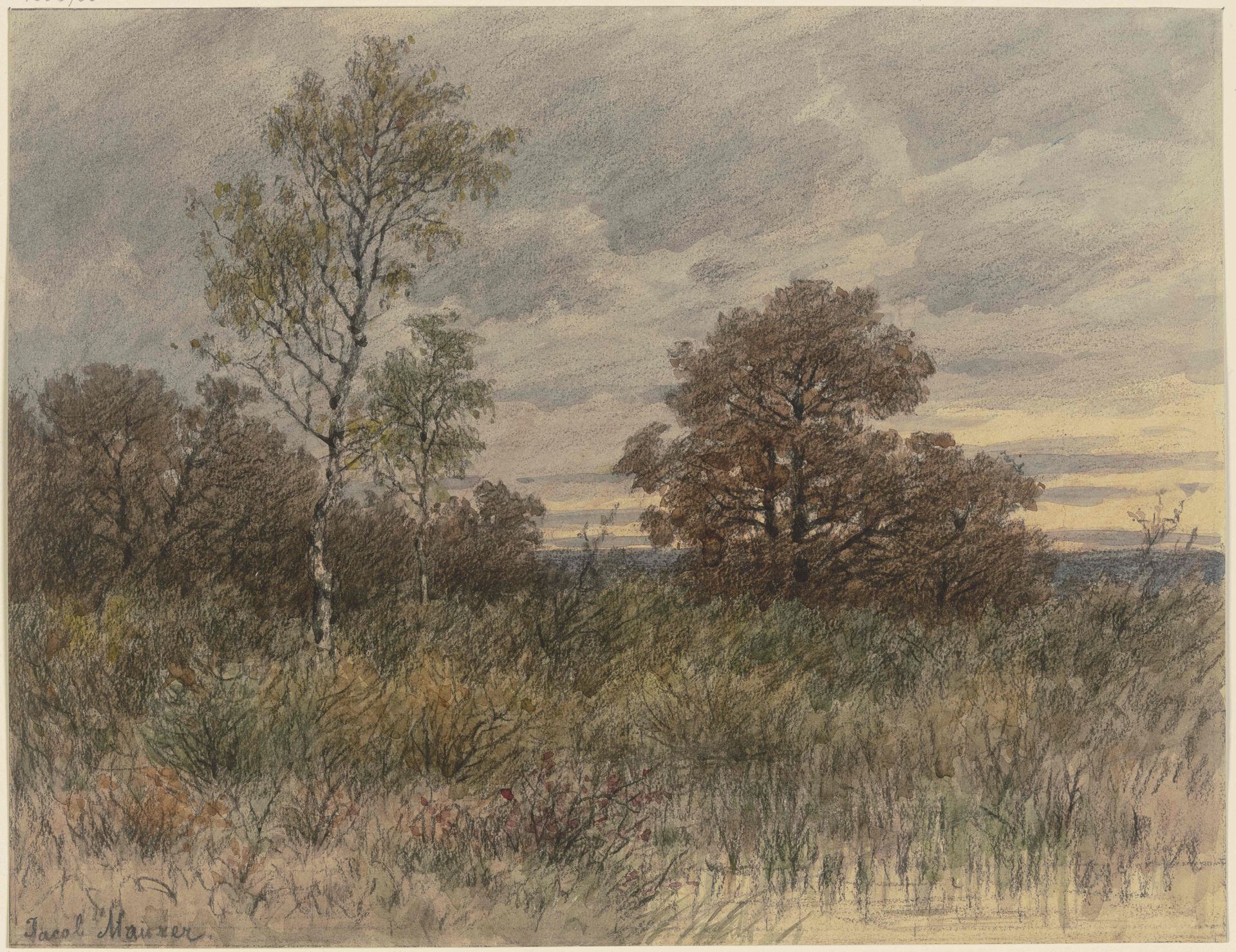Regenlandschaft mit in sumpfigem Terrain stehenden Eichen und Birken by Jakob Maurer