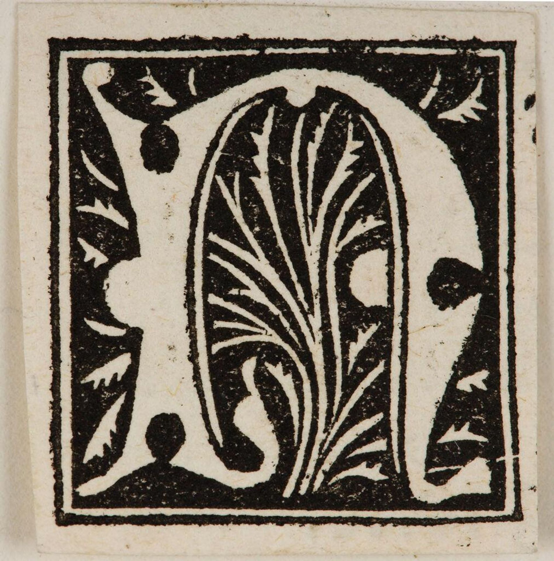 Initial N by Anonymous