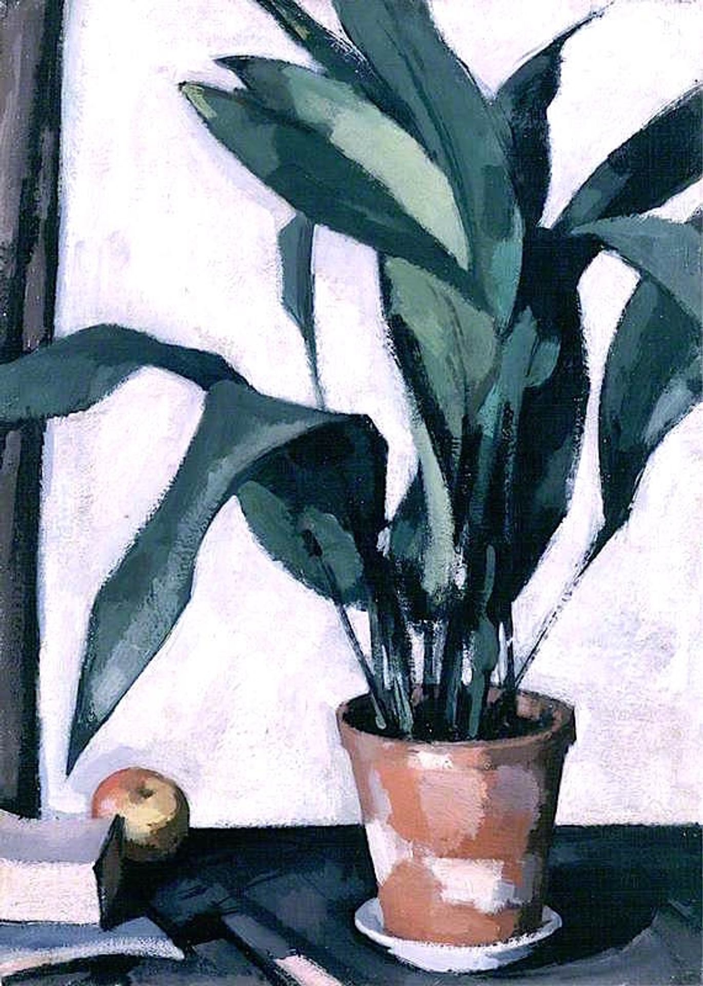 Aspidistra by Samuel Peploe