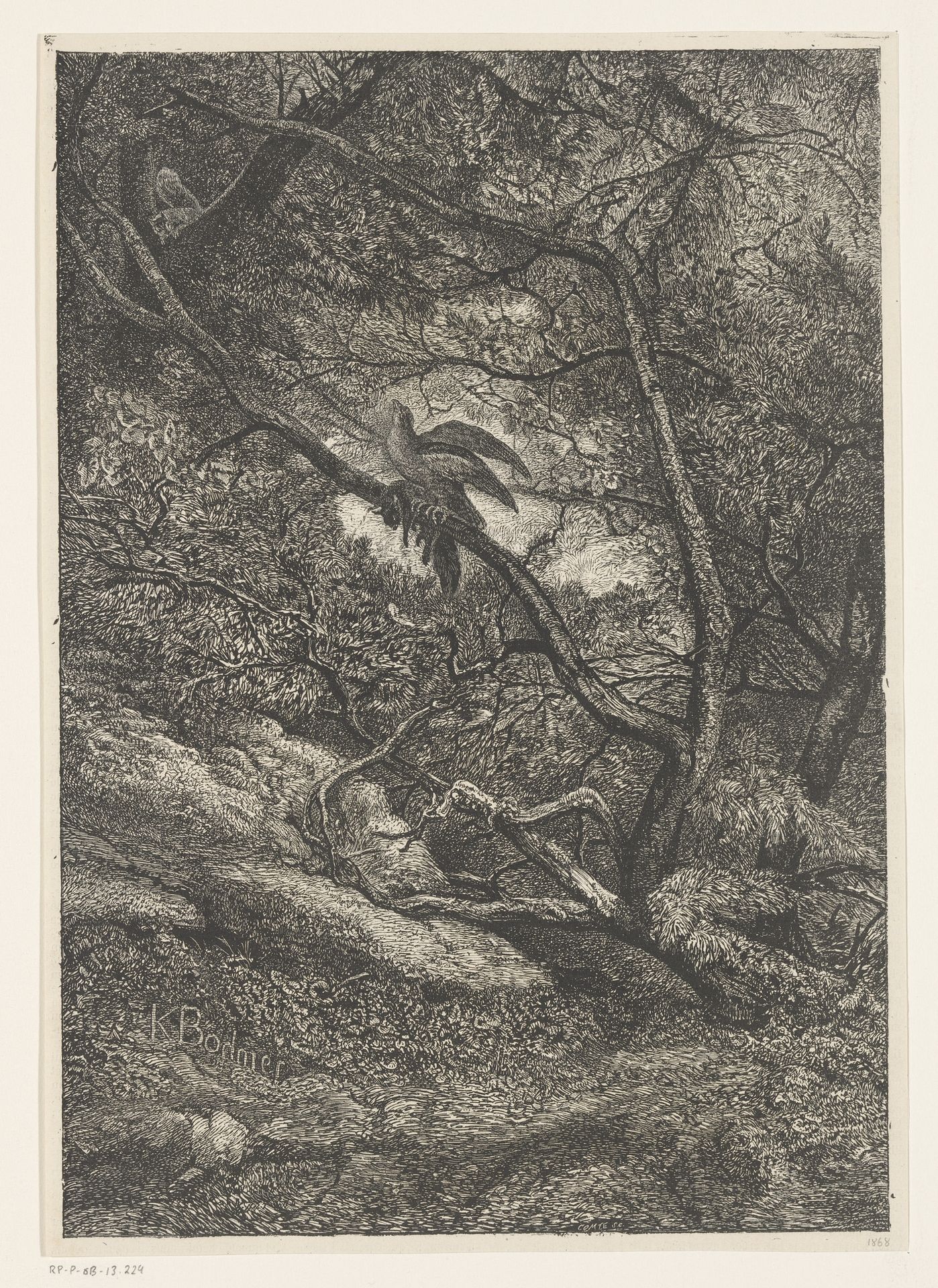 Roofvogel op een tak met een gevangen eekhoorn by Karl Bodmer