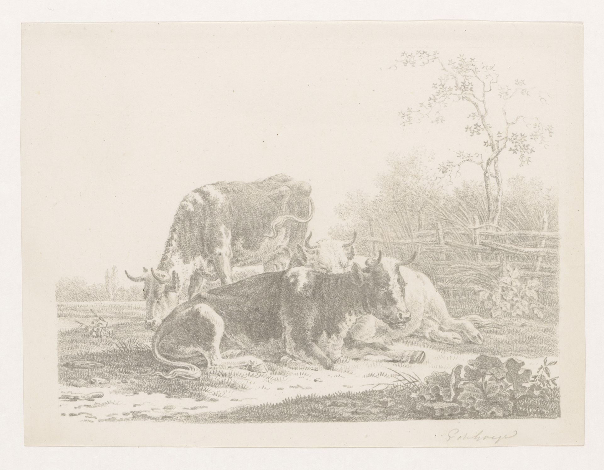 Drie koeien in een weide bij een hek by Pieter de Goeje