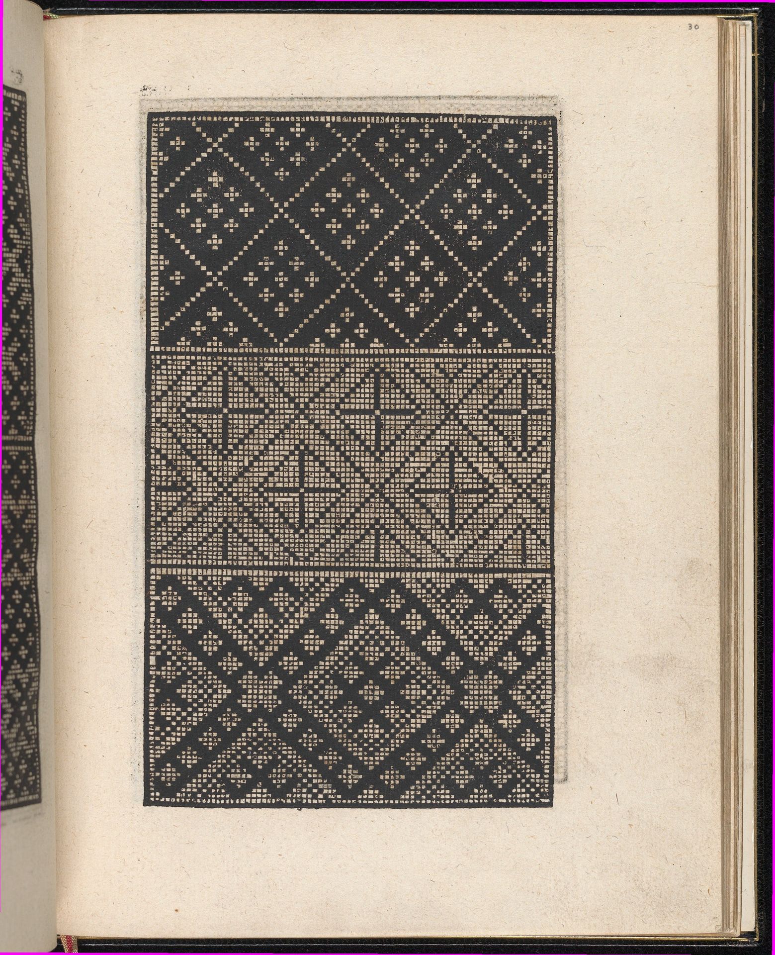 Page from Ein new kunstlich Modelbuch...(Page 30r) by Peter Quentel