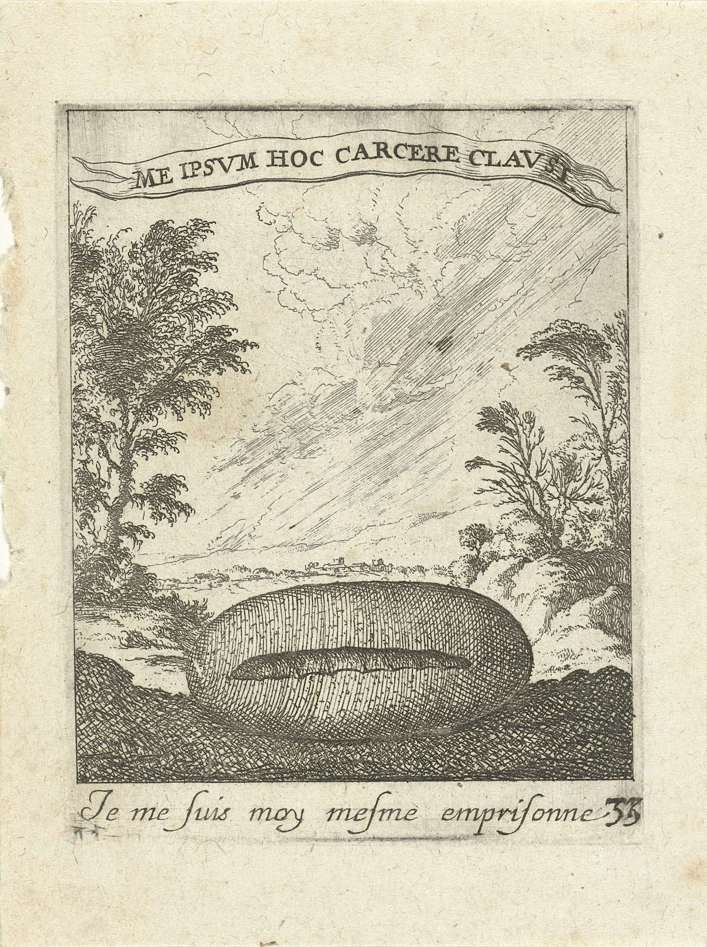 Landschap met cocon by Albert Flamen