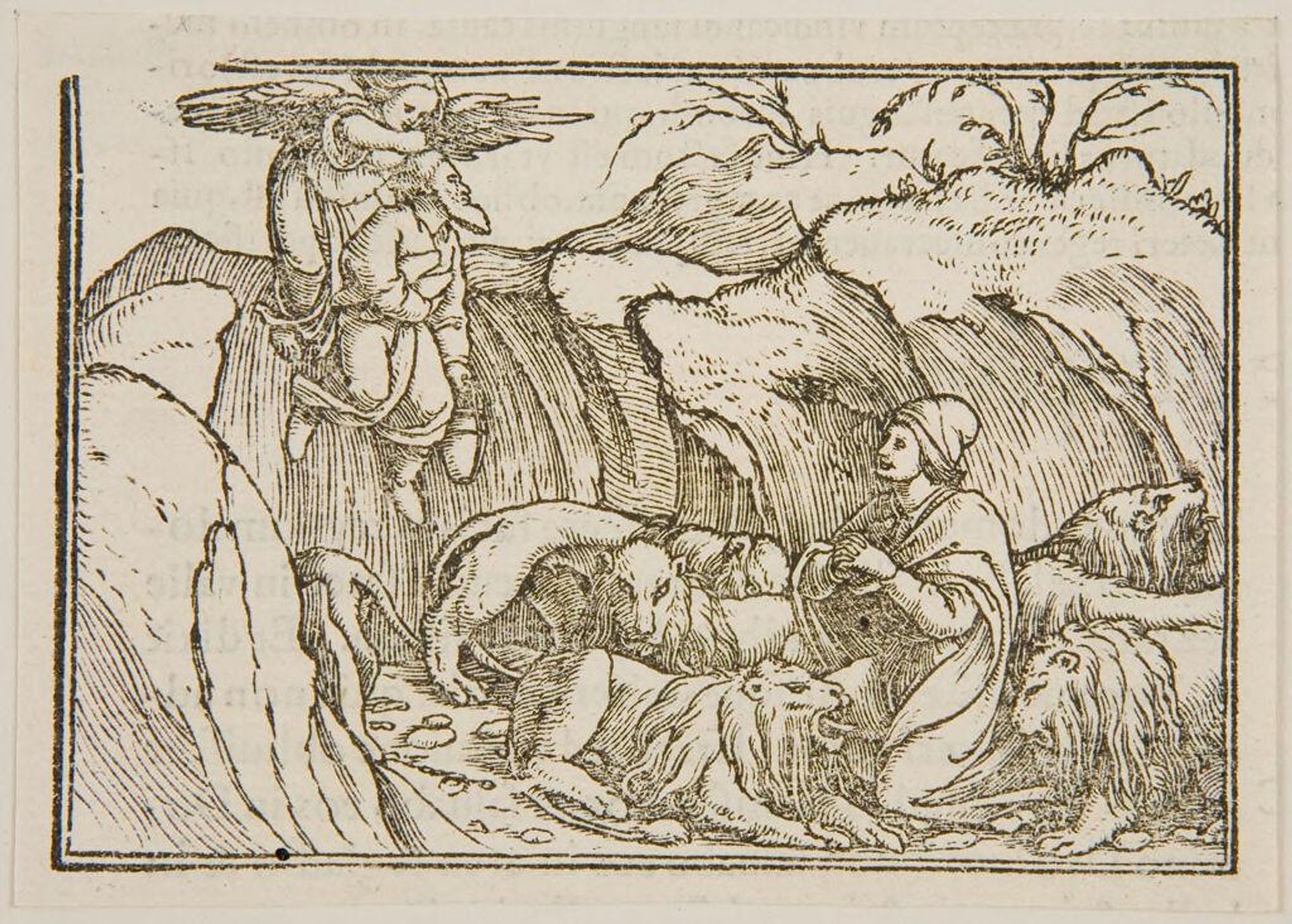 Daniel XIV by Hans Holbein the Younger