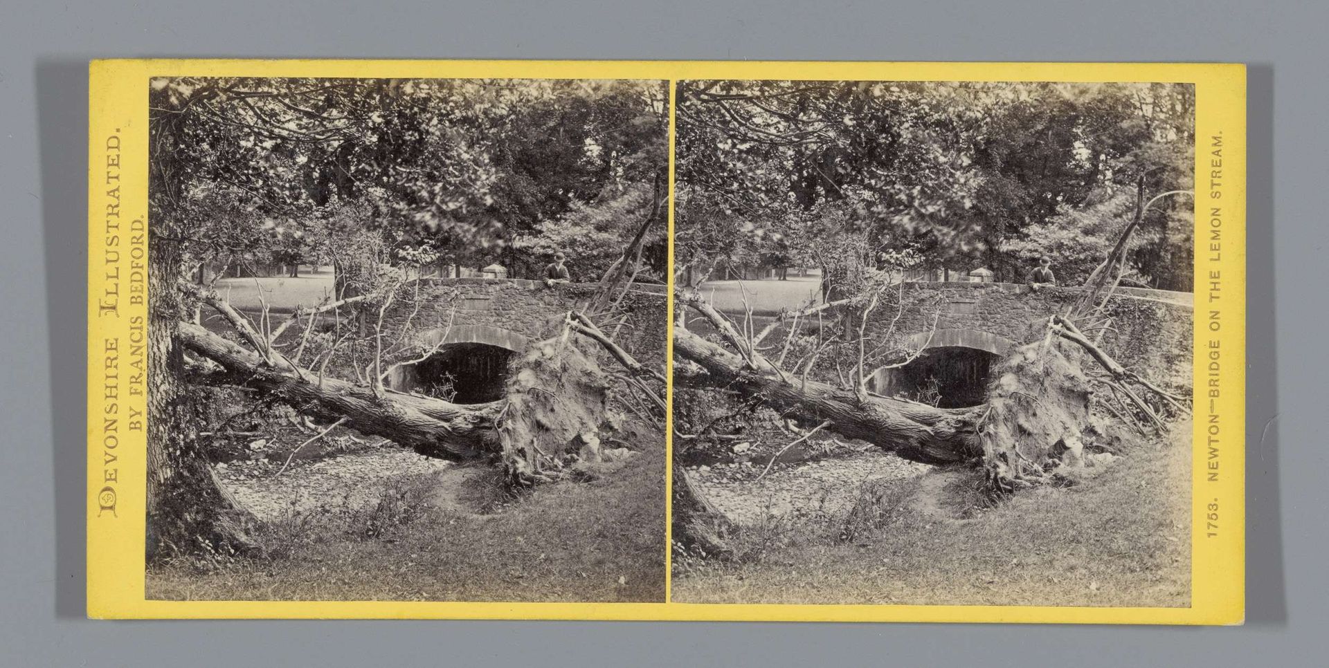 Brug over de Lemon, met op de voorgrond een omgevallen boom by Francis Bedford