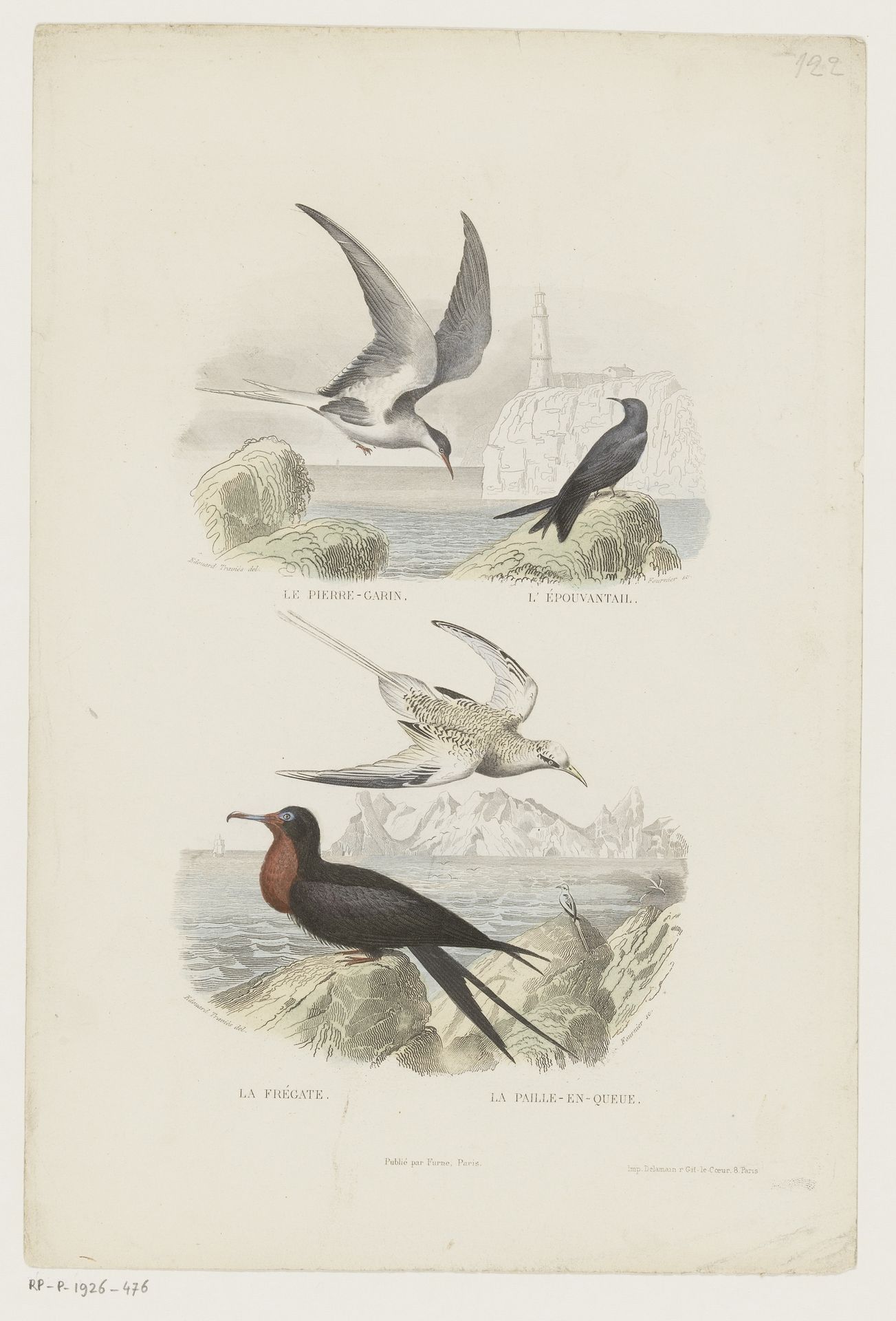 Watervogels aan de kust by Amable Nicolas Fournier