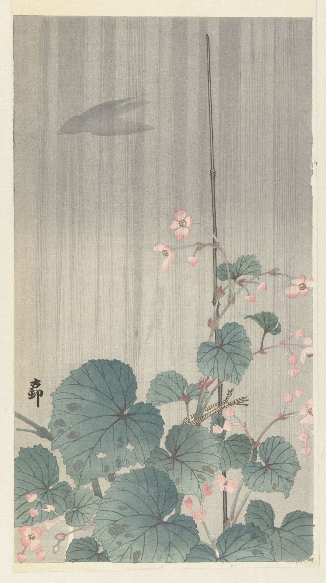 Begonia in de regen by Ohara Koson