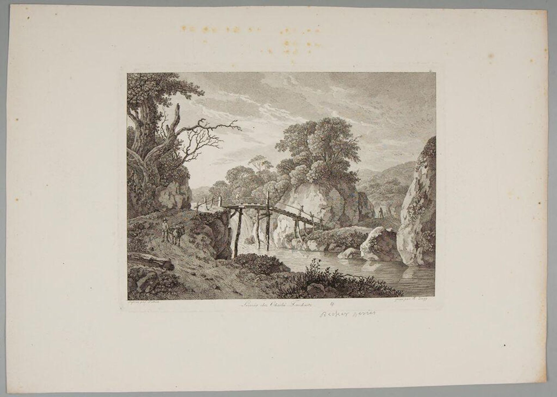Plate IV by Adrian Zingg