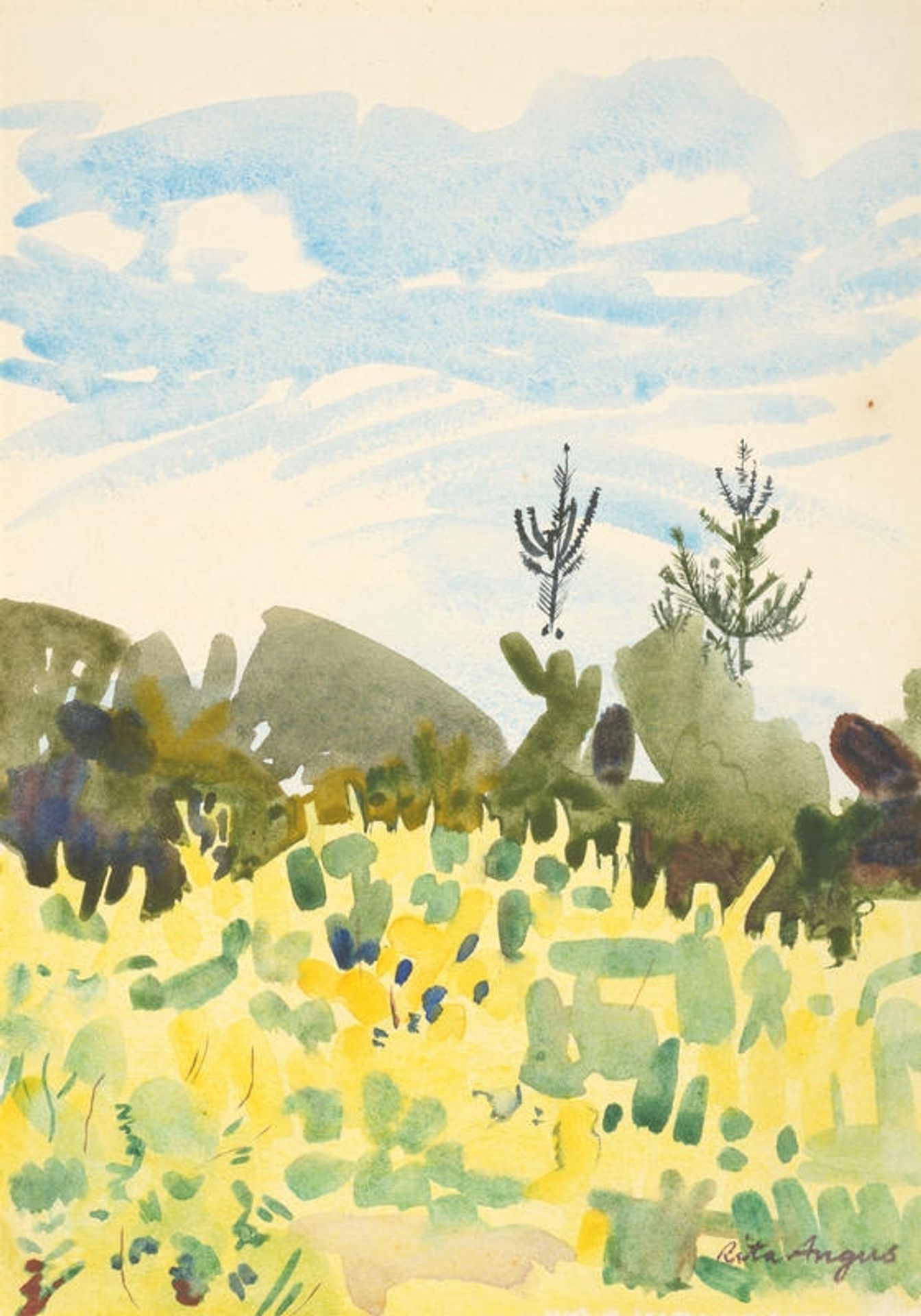 Lupin by Rita Angus