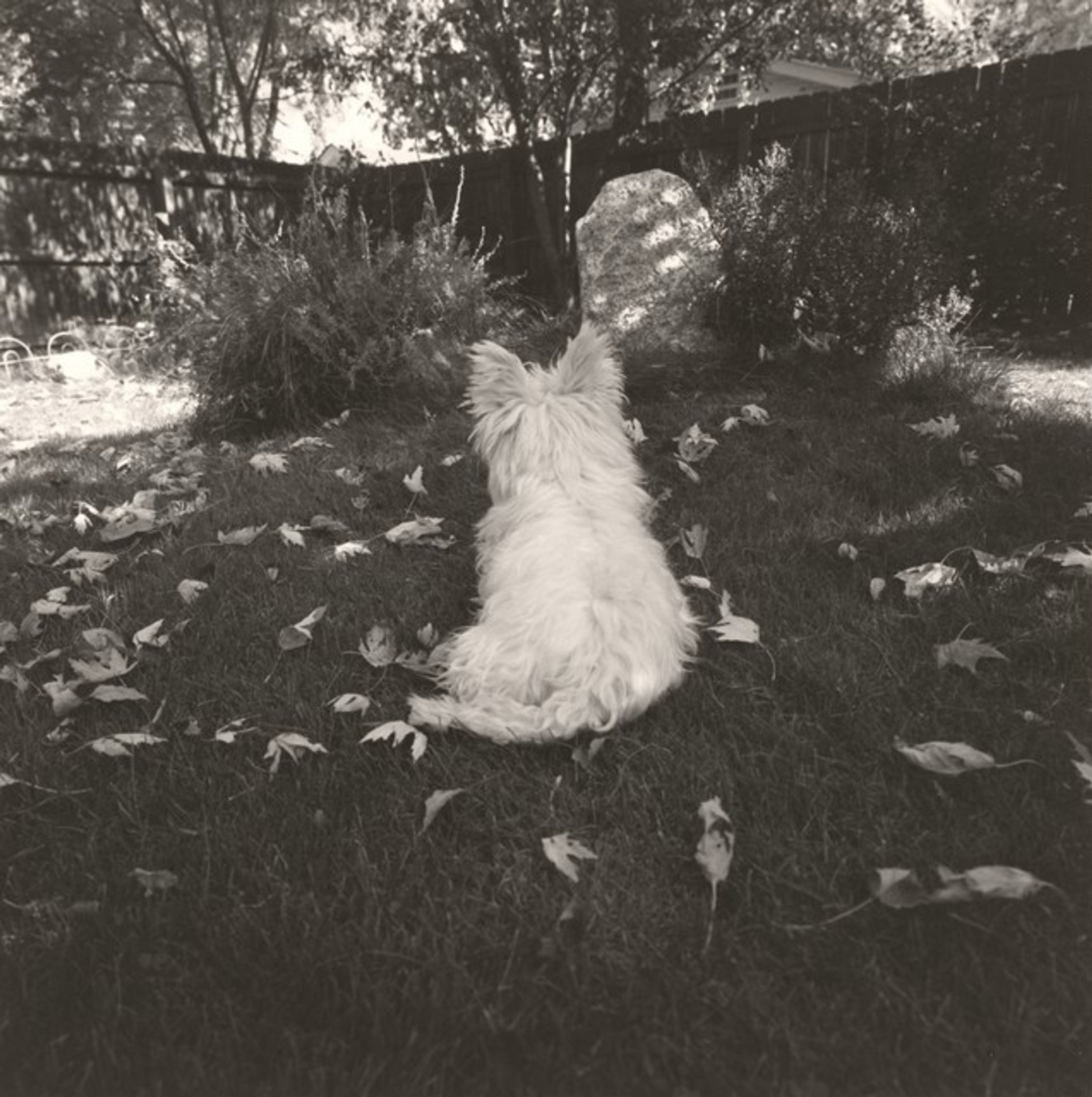 Longmont, Colorado by Robert Adams