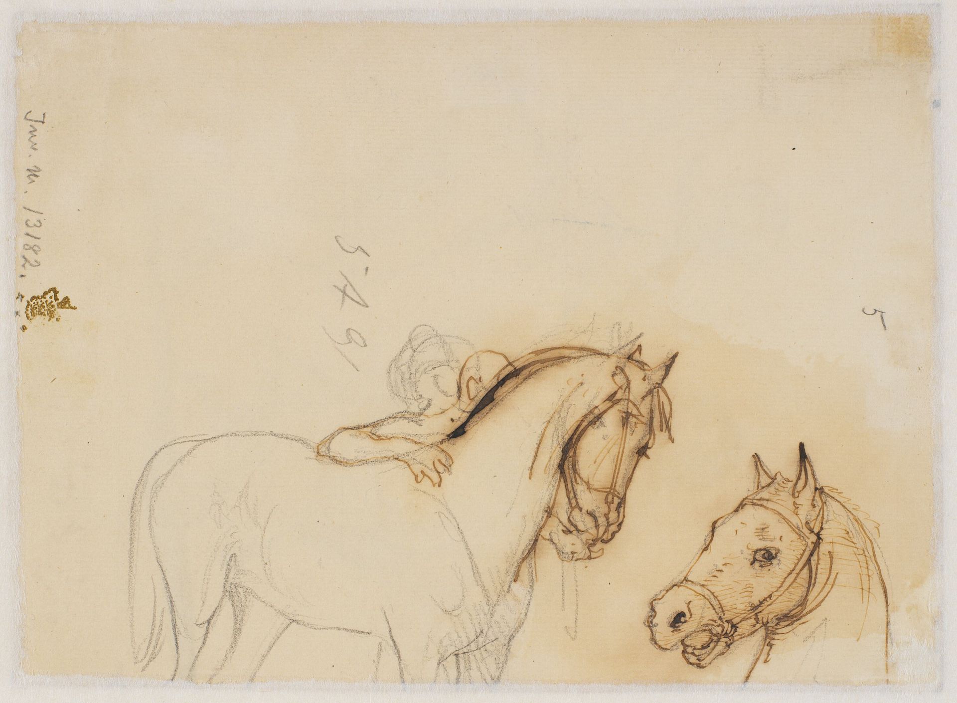 Hest og hestehoved by Wilhelm Marstrand