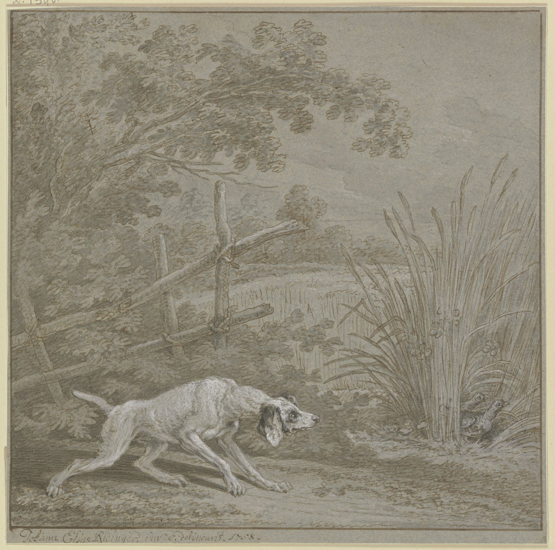 Vorsteherhund auf Rebhühner by Johann Elias Ridinger