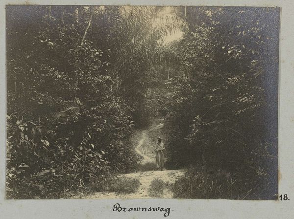 Slide 12