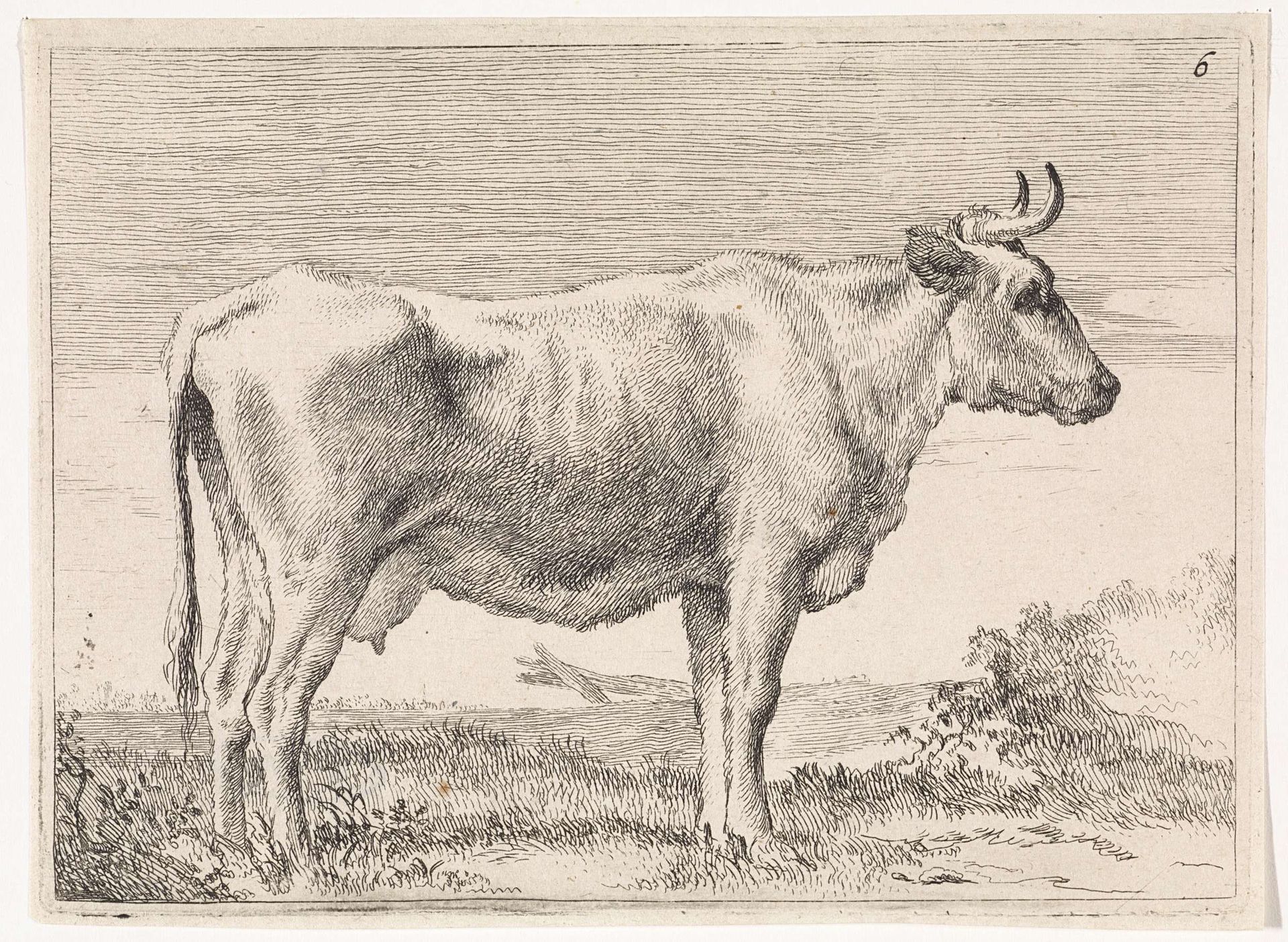 Staande koe by Paulus Potter