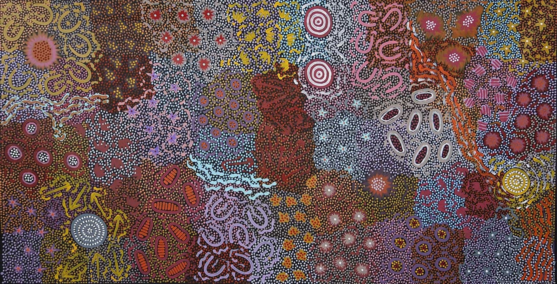Grandmother's Country by Michelle Possum Nungurrayi