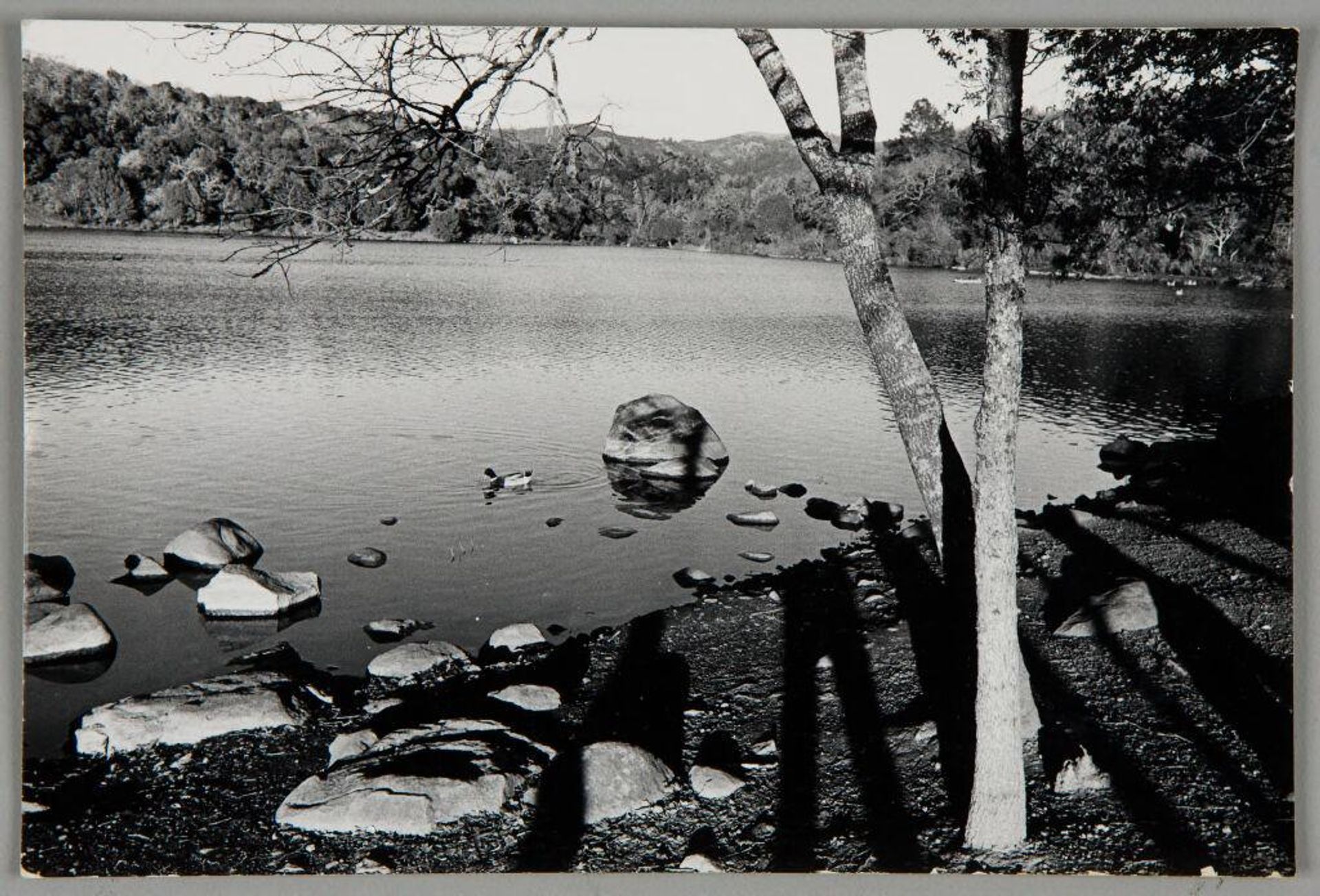 Untitled (Santa Rosa) by Bill Dane