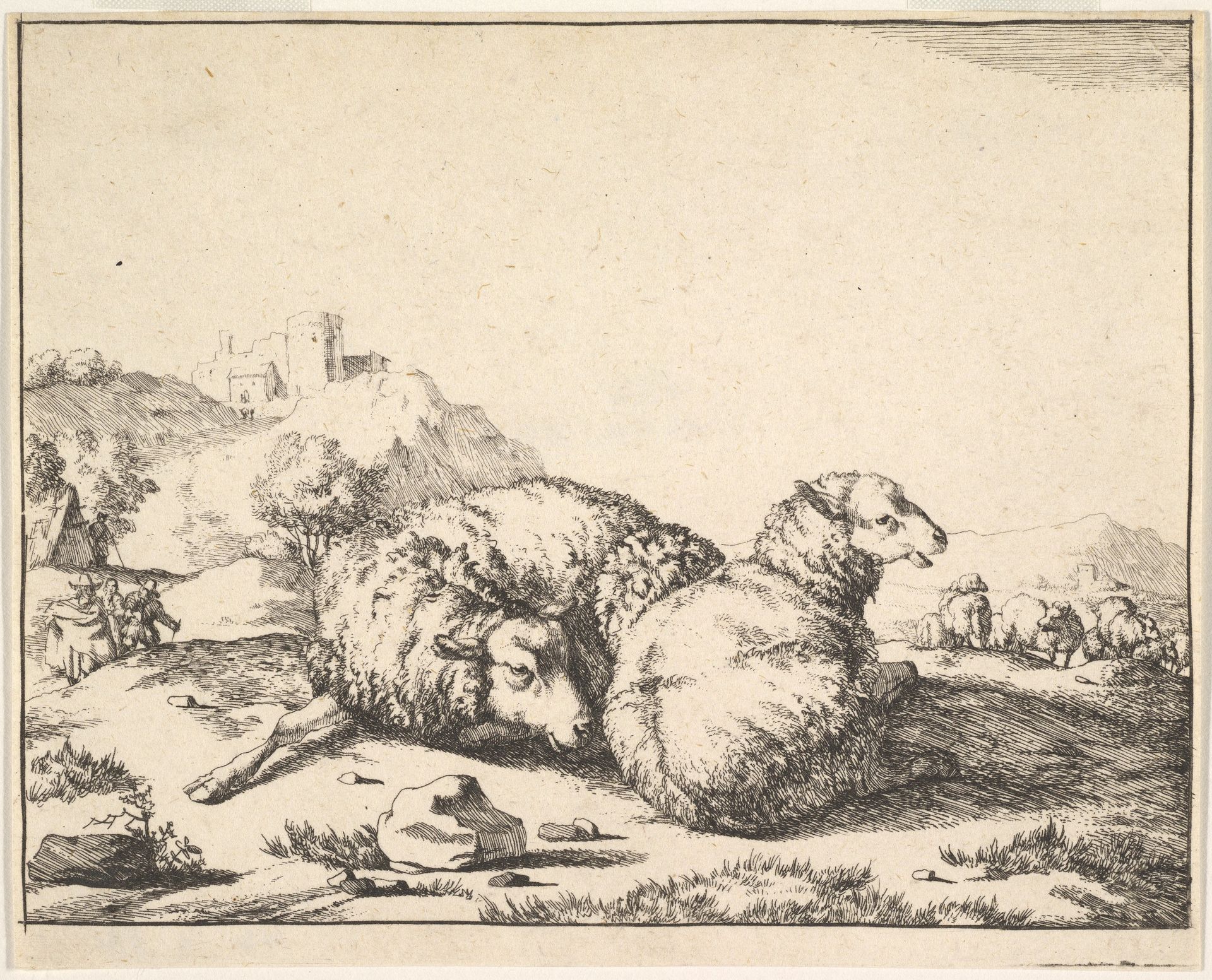 Sheep, from a set of 16 plates by Marcus de Bye
