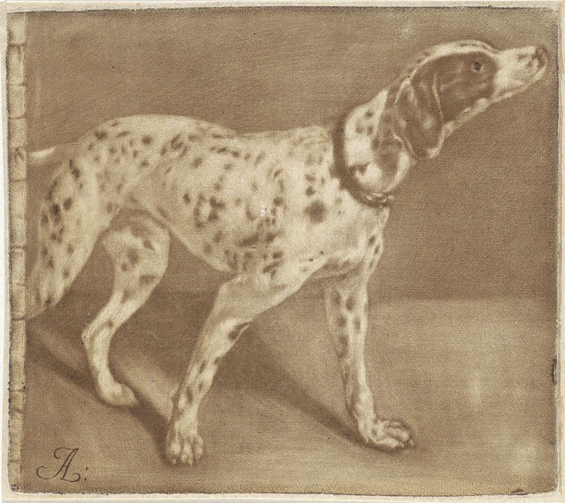 Dalmatische hond by Pieter Anthony Wakkerdak