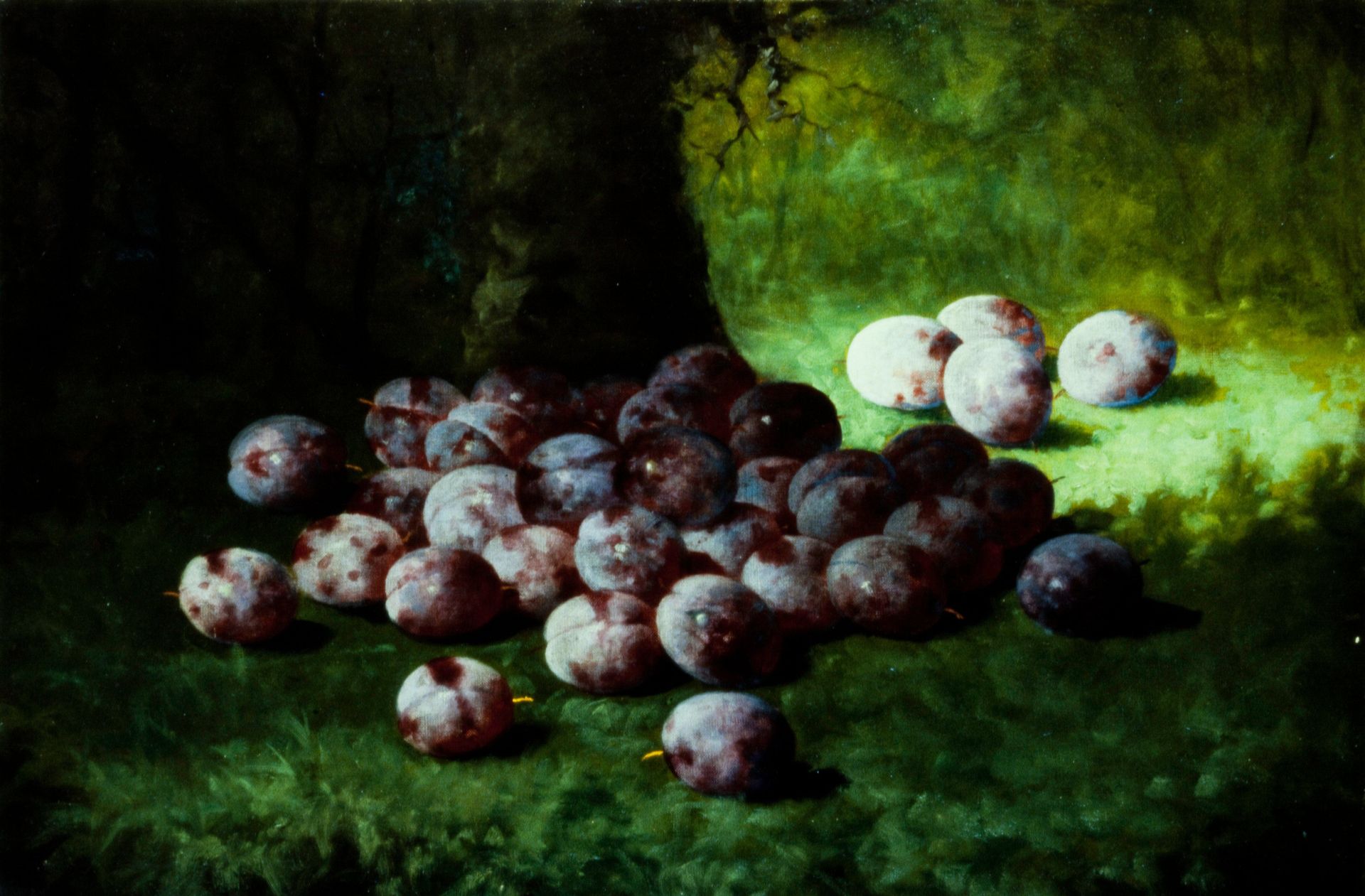 Plums by Carducius Plantagenet Ream