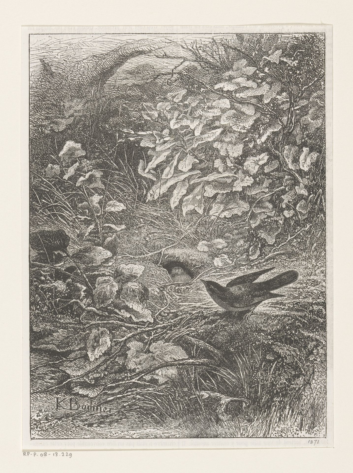 Vogel bij een nest in het struikgewas by Karl Bodmer
