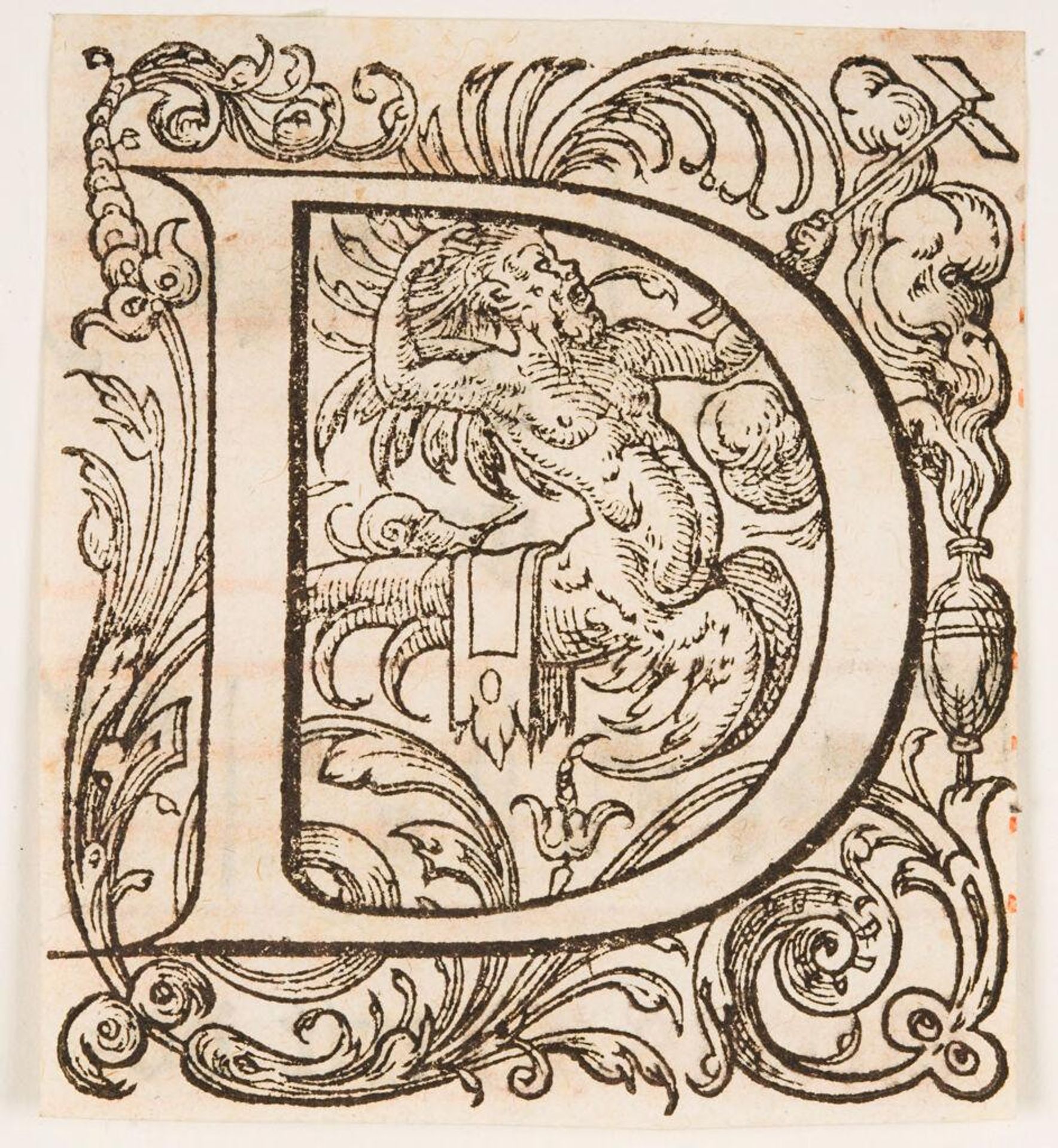 Letter D by Anonymous