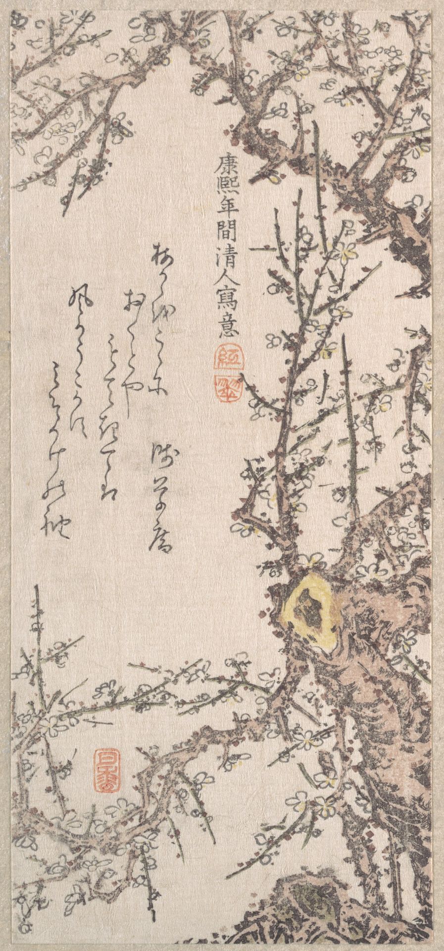 Plum Tree in Blossom by Kitao Shigemasa
