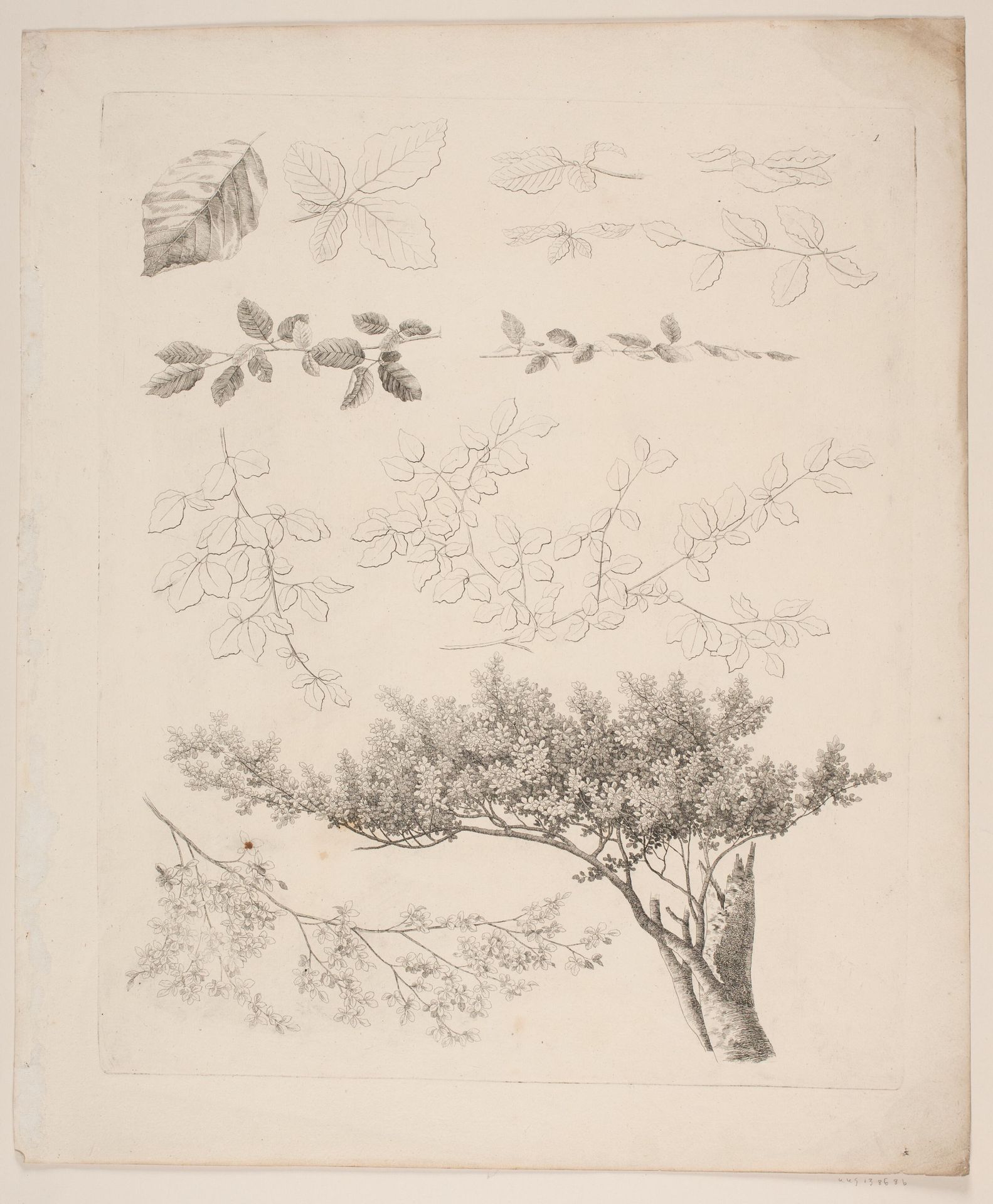 "Studier efter Naturen med Hensyn til Landskabstegning af S.H. Petersen", nr. 1 by Søren Henrik Petersen