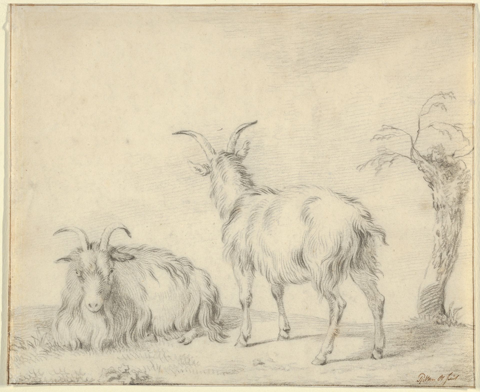 A Standing and a Lying Goat Near a Small Tree by Pieter Gerardus van Os