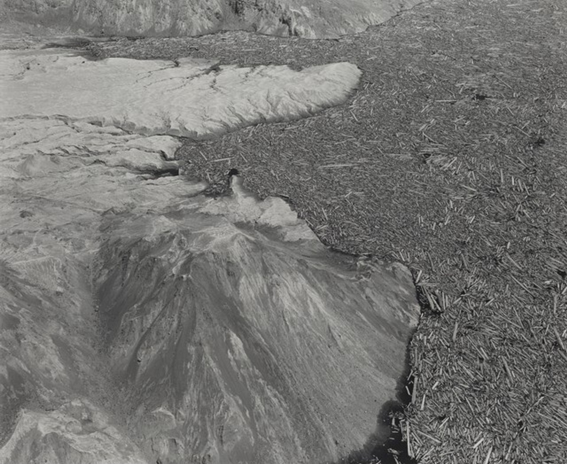Aerial View: Logs and Debris in South End of Spirit Lake--4.5 Miles North of Mount Saint Helens, Washington by Frank Gohlke
