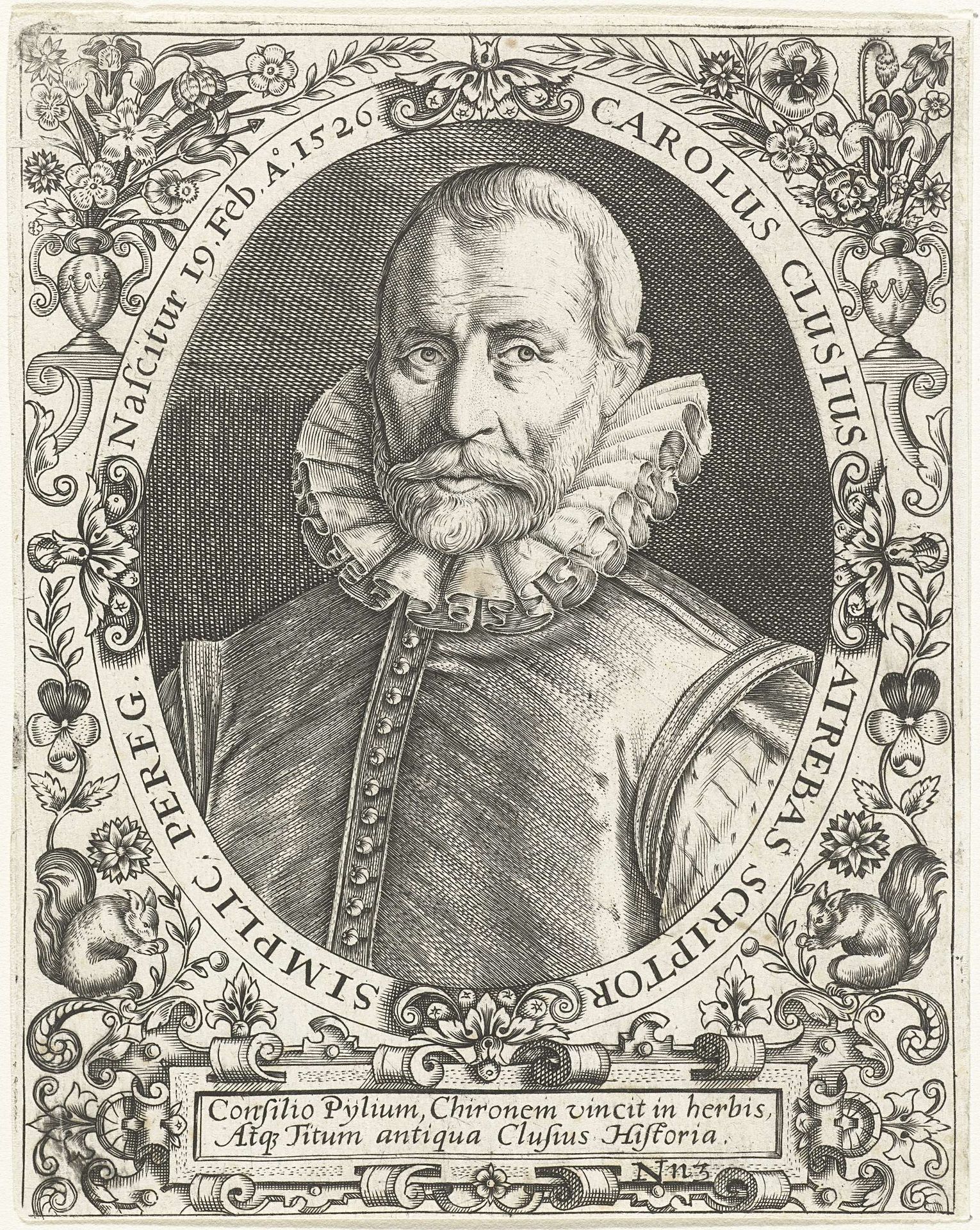 Portret van Carolus Clusius by Theodor de Bry