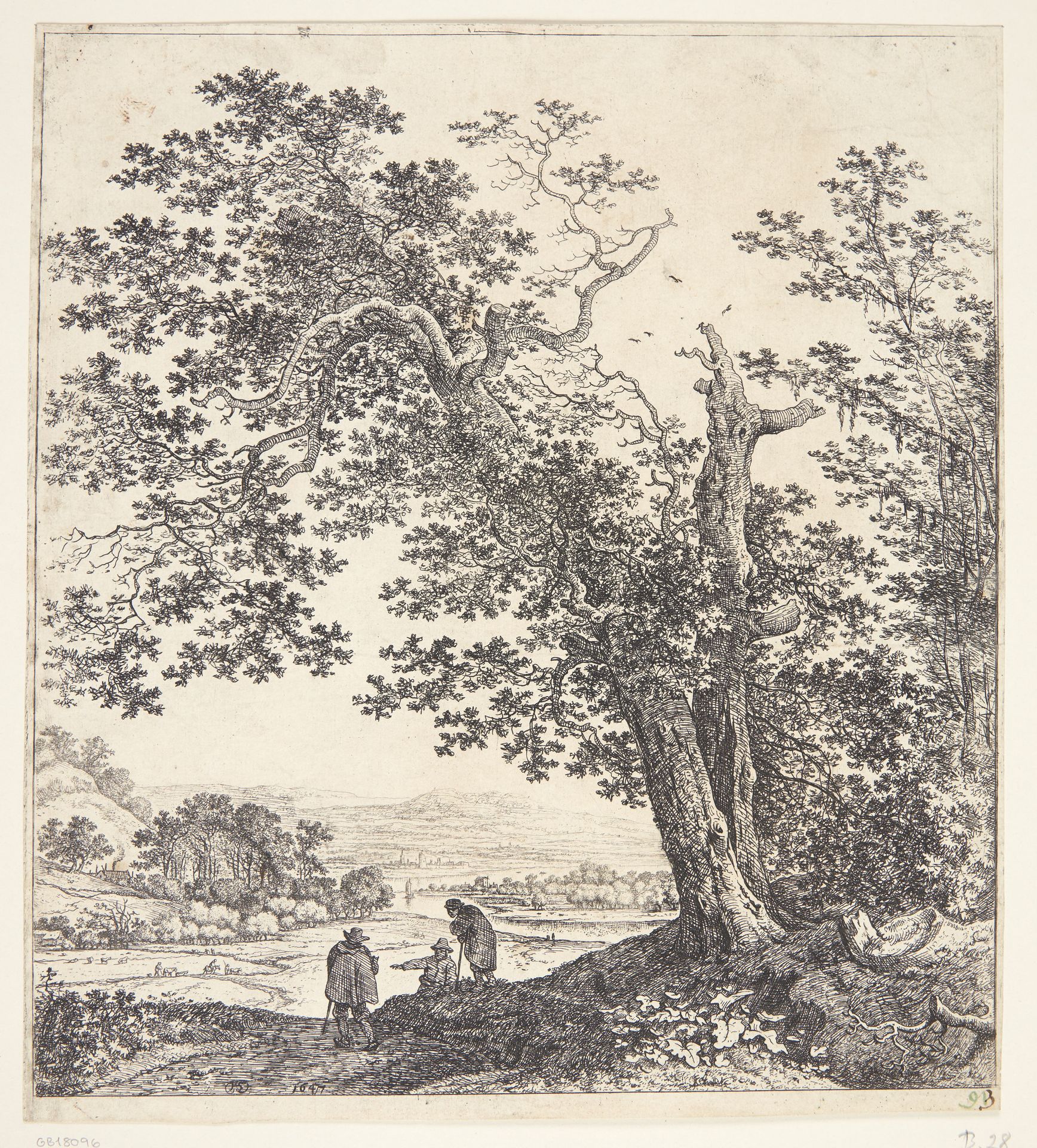Panorama med en flod, i forgrunden et dobbeltstammet træ by Herman Saftleven