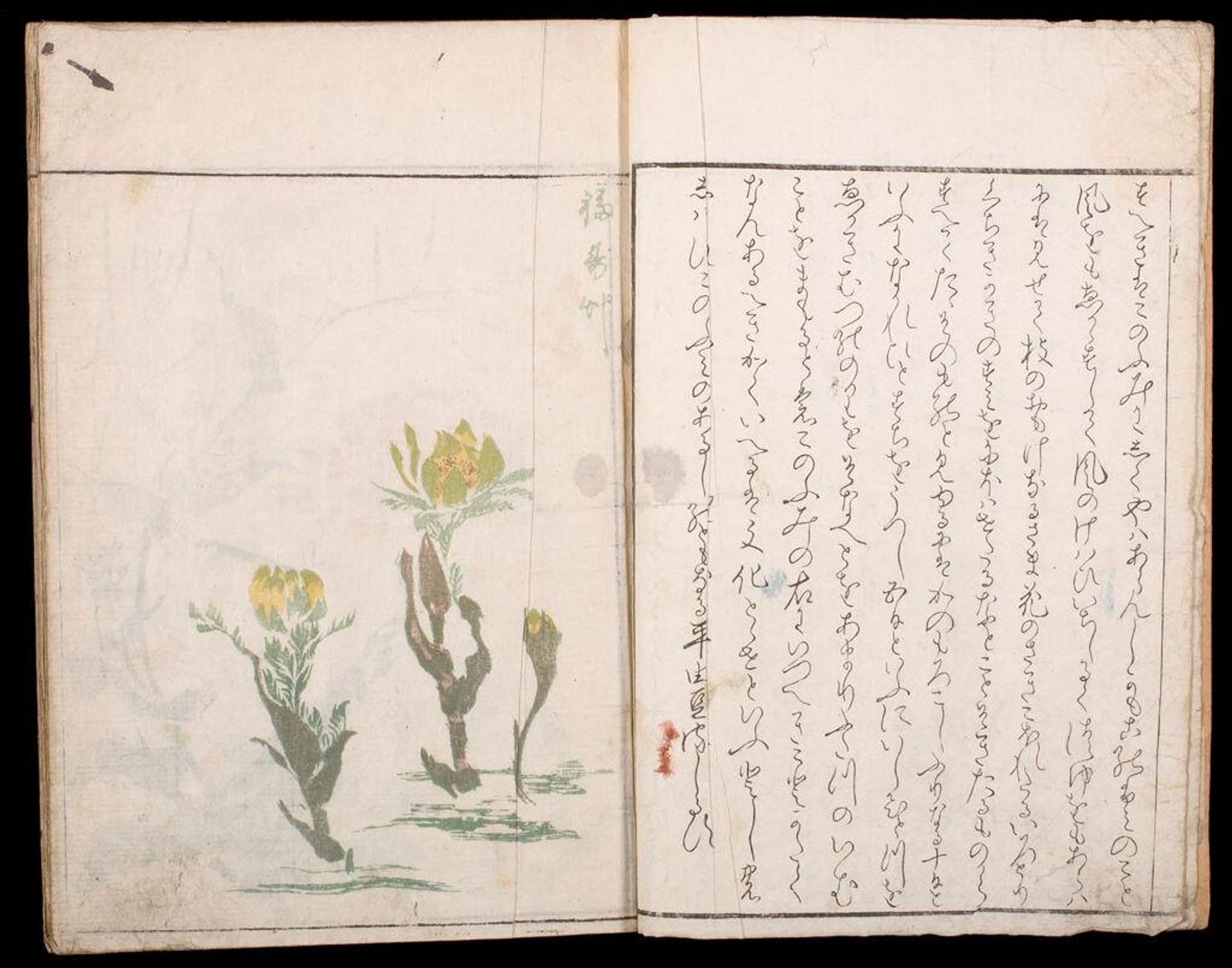 Rough Sketches of Flowering Plants (SÅka ryakugashiki) by Kitao Masayoshi