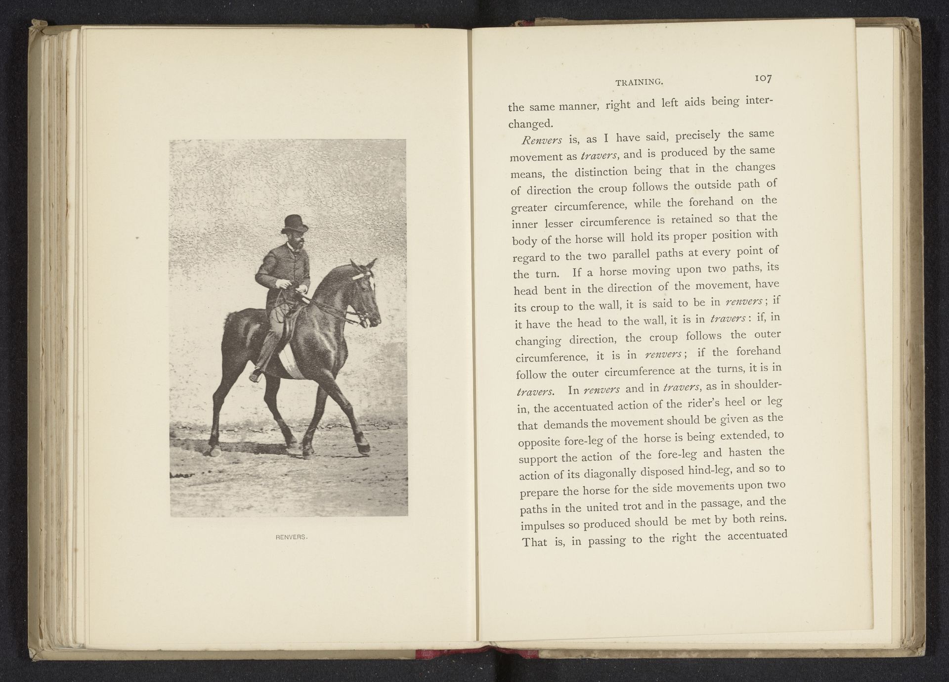 Man op een paard die de renvers doet by Anonymous