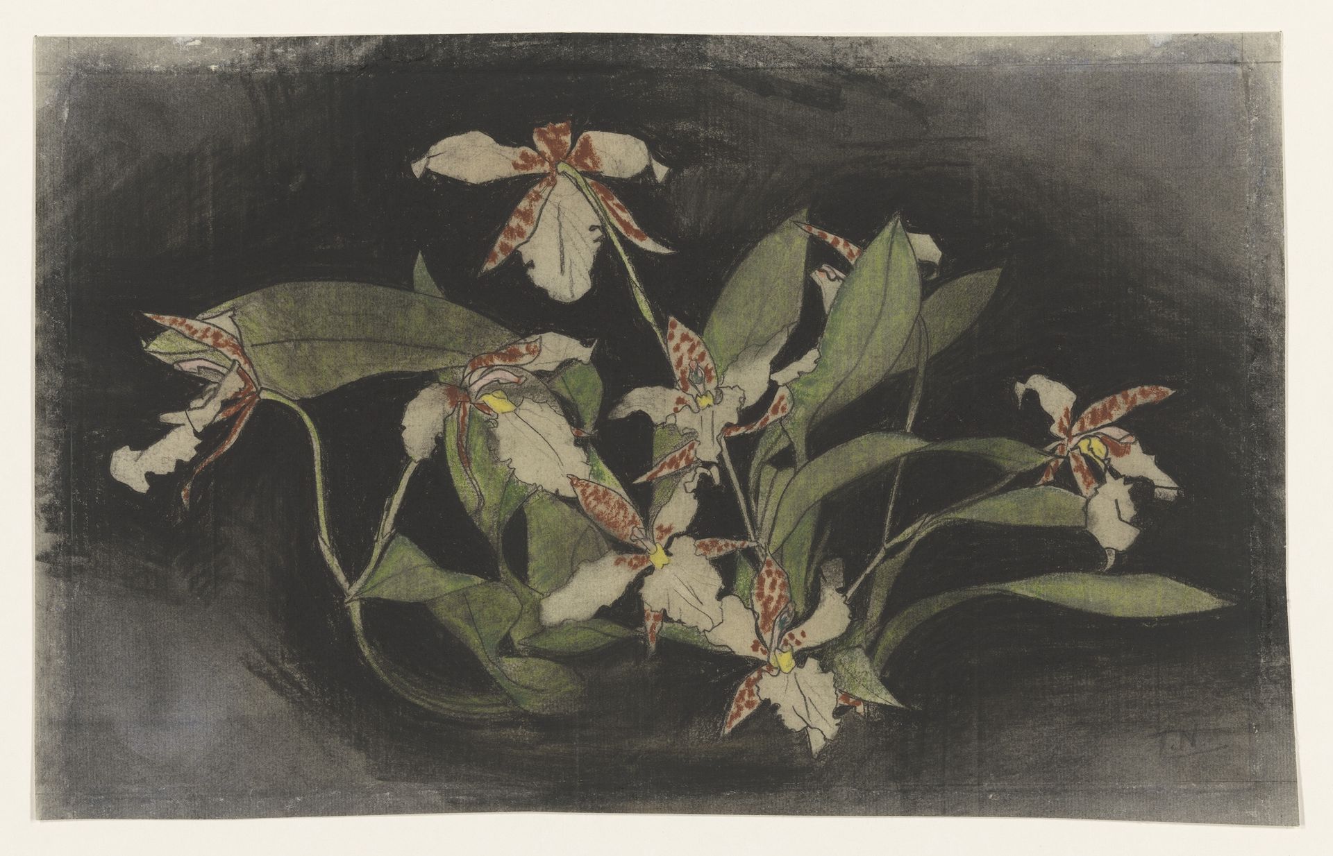 Bloeiende orchideeëntak by Theo Nieuwenhuis
